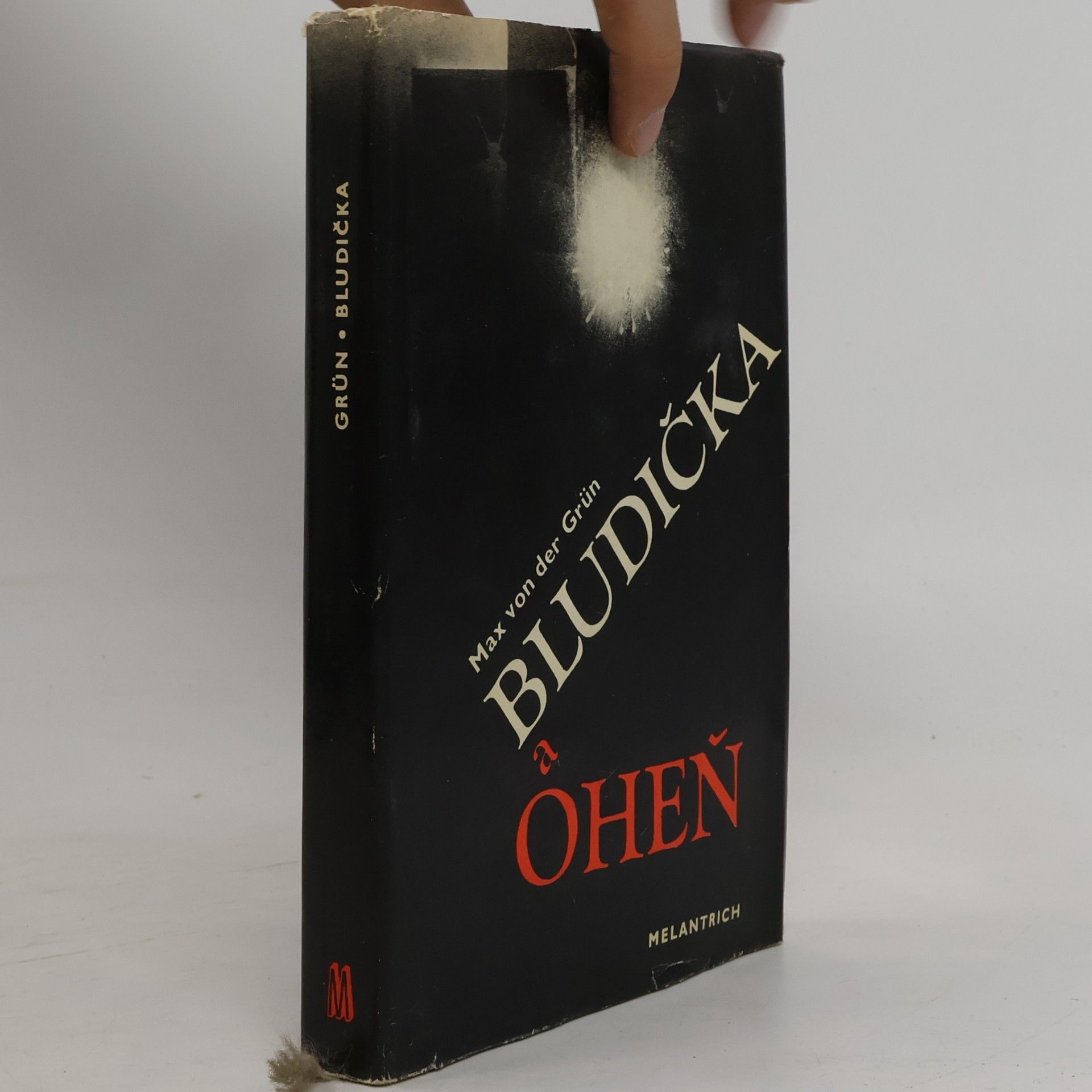 Max von der Grün Bludička a oheň