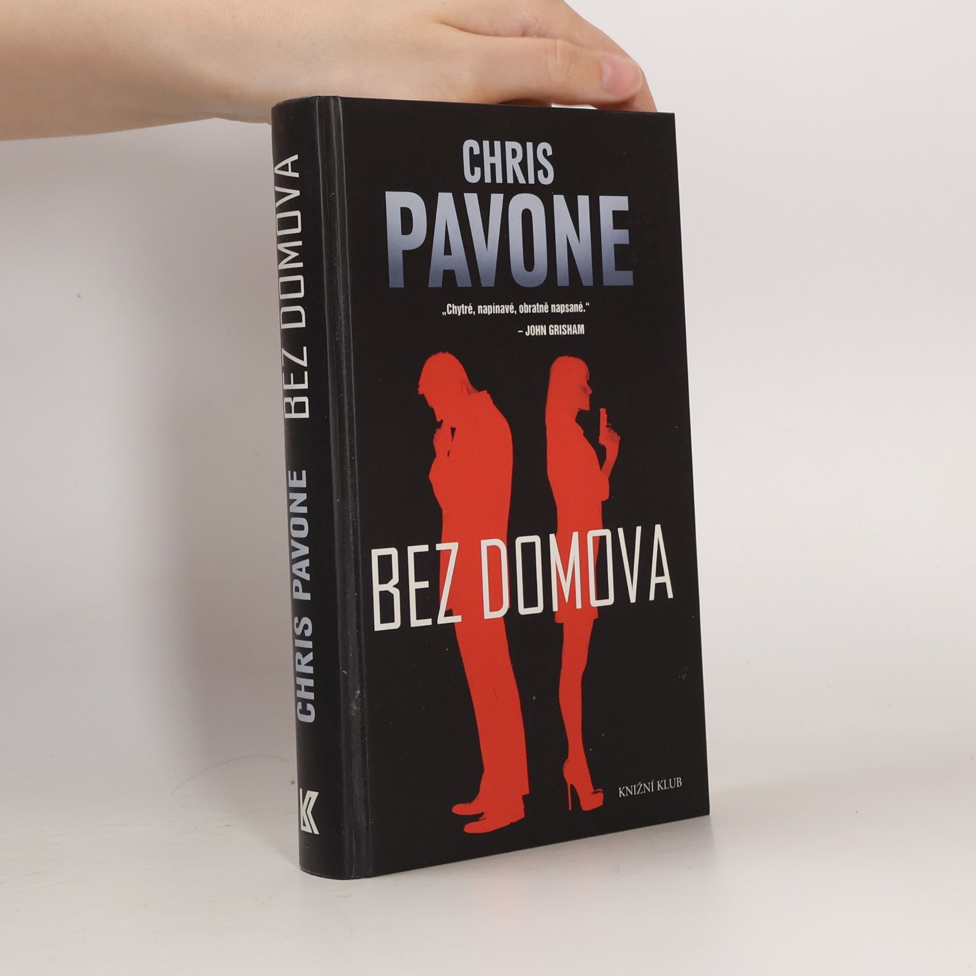 Chris Pavone Bez domova