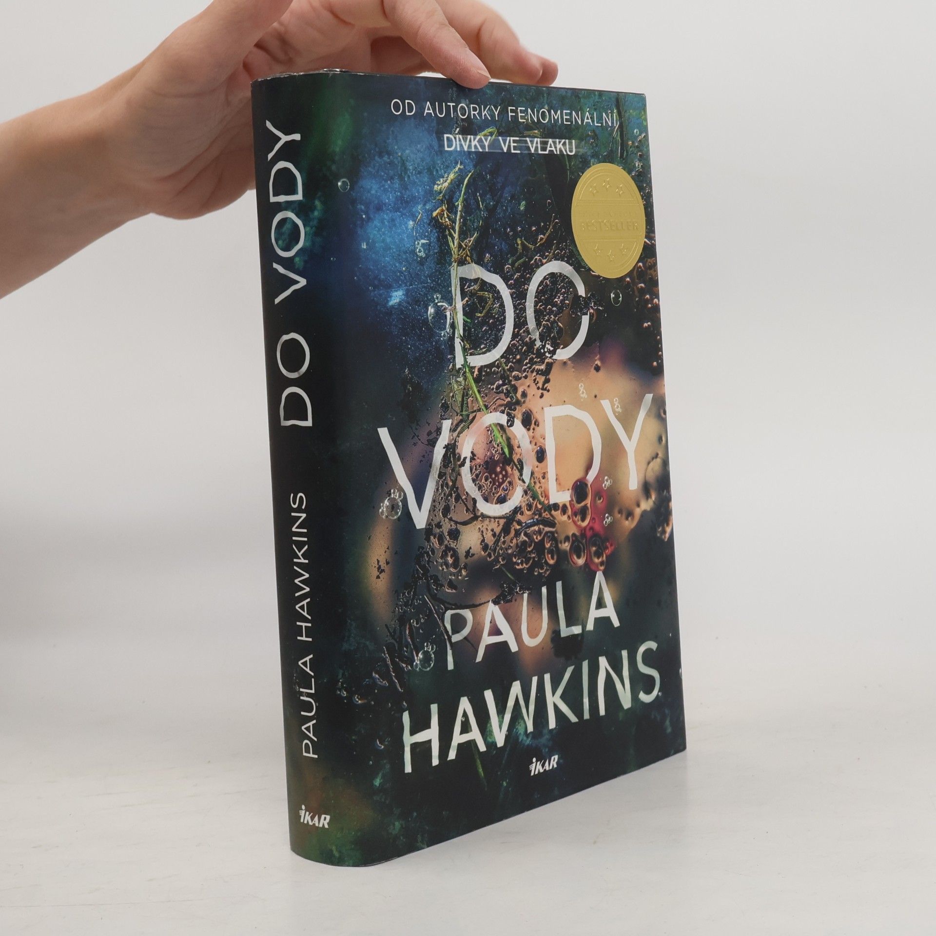 Paula Hawkins Do vody