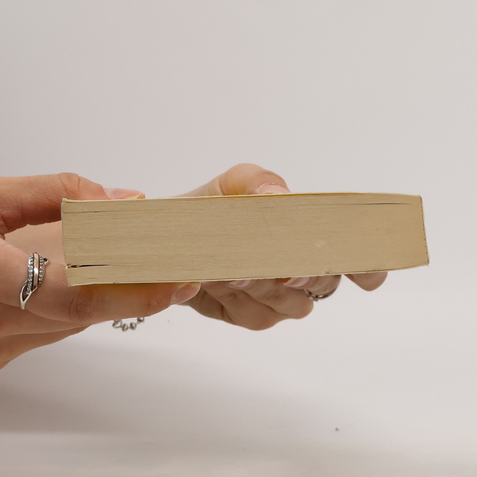 Jasper Fforde In einem anderen Buch