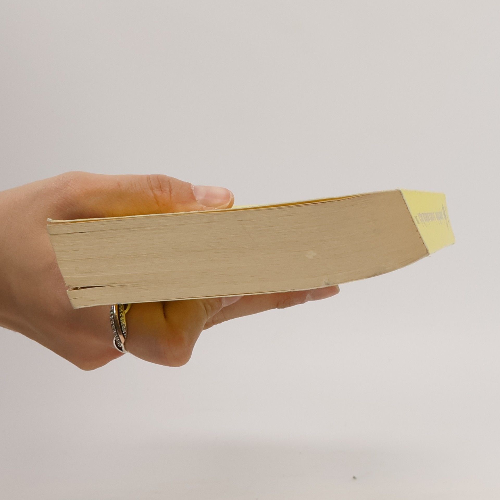 Jasper Fforde In einem anderen Buch