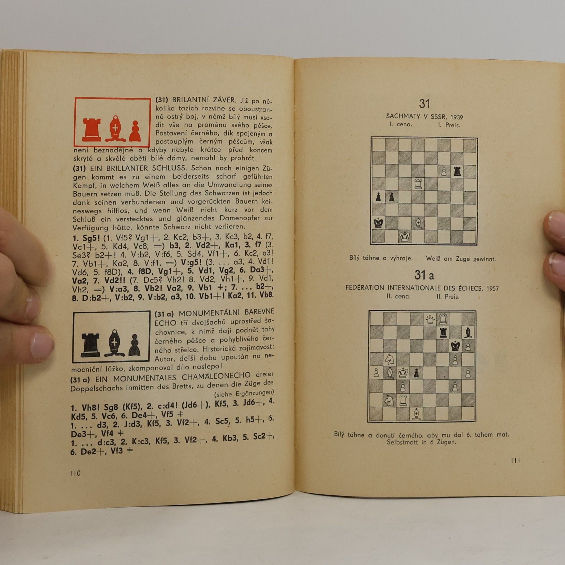 Autorenkollektiv Kouzlo šachového diagramu. Zauber des Schachdiagramms