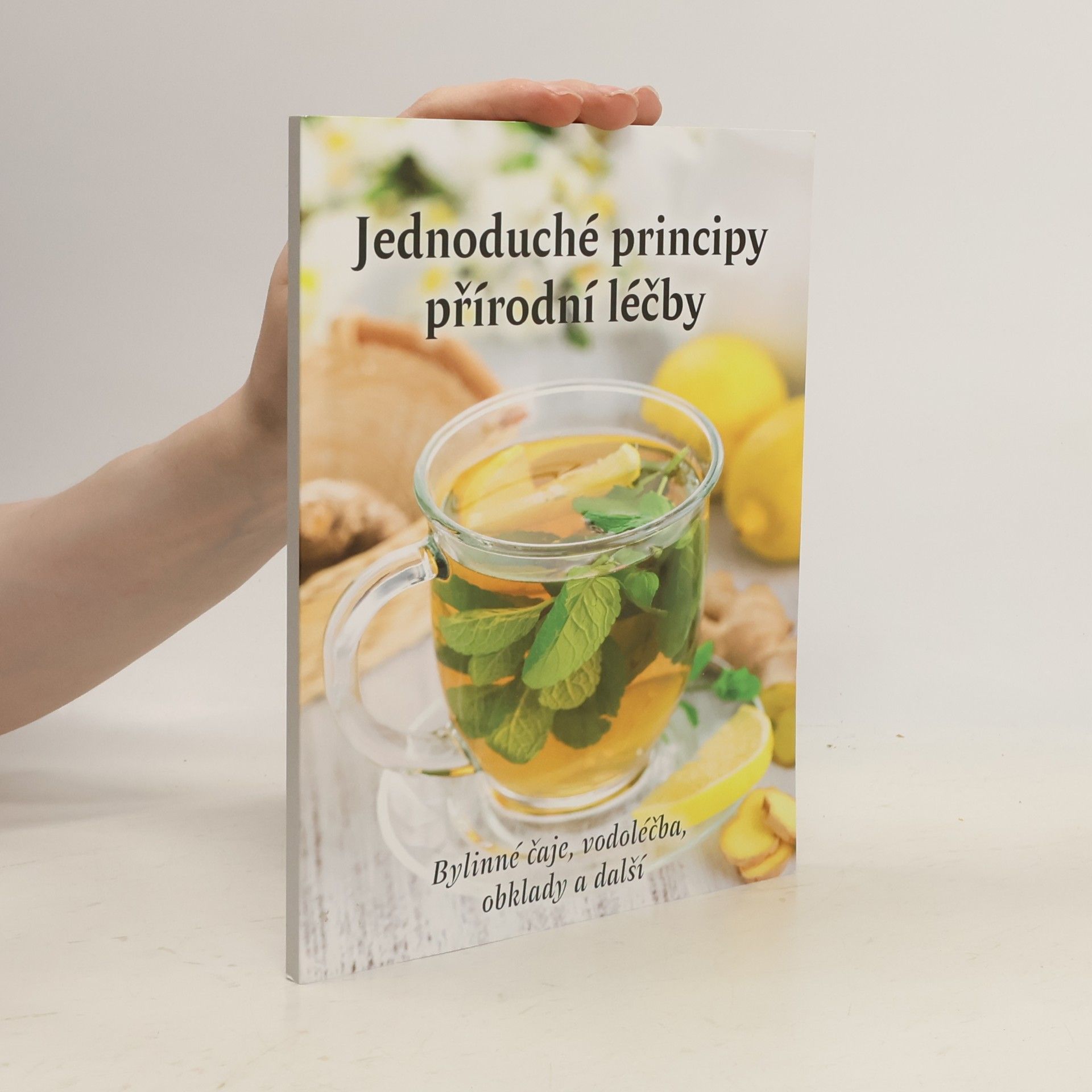 Kolektiv autorů Jednoduché principy přírodní léčby