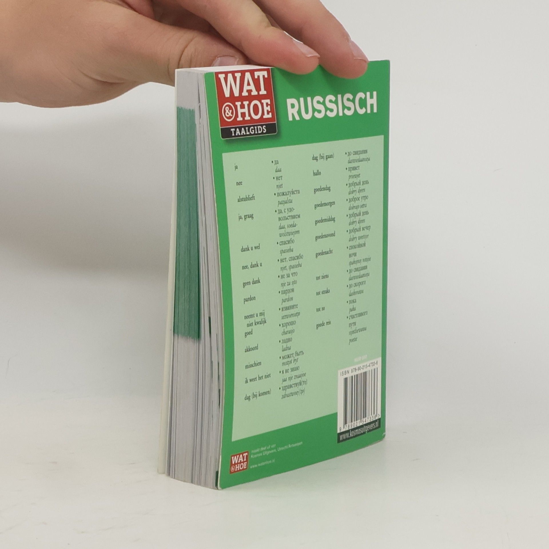 Russisch: Wat & Hoe taalgids - Geheel herziene editie, nu met woordenlijst Russisch - Nederlands