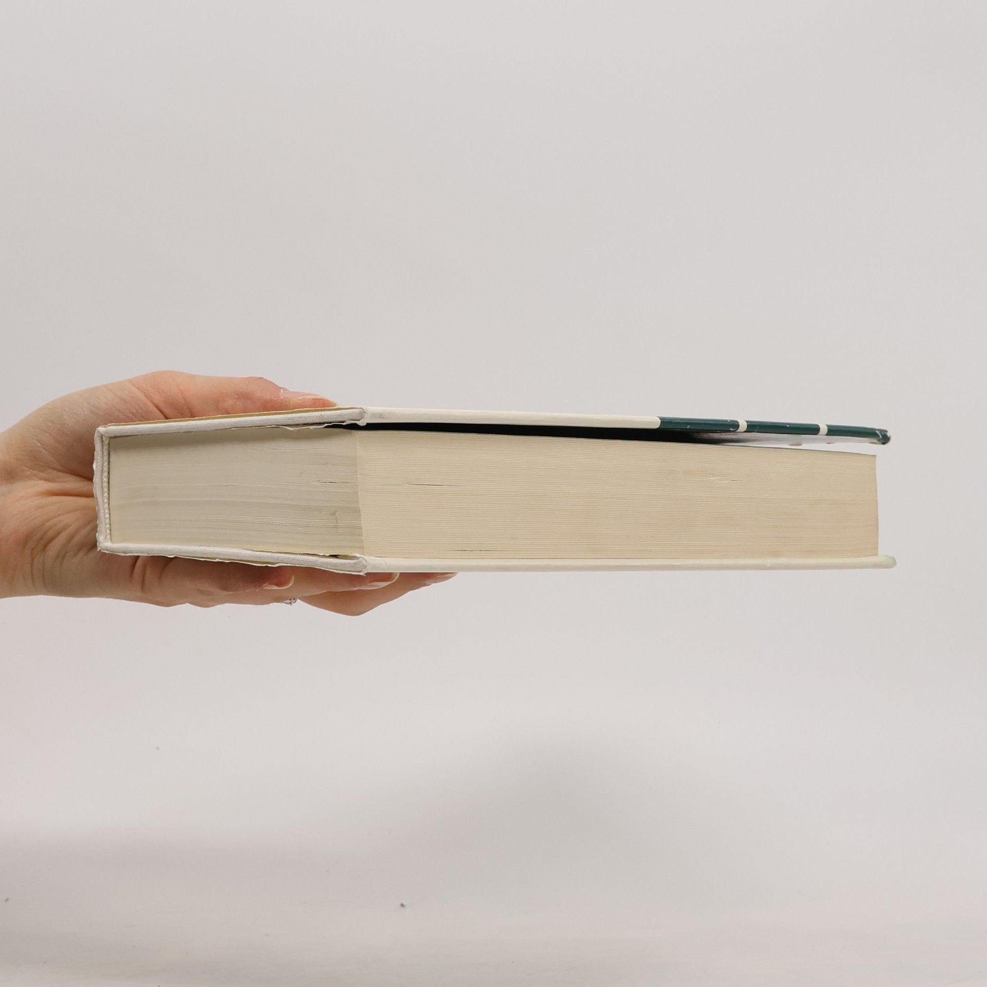 Ilja Grigorjevič Ehrenburg Über Literatur