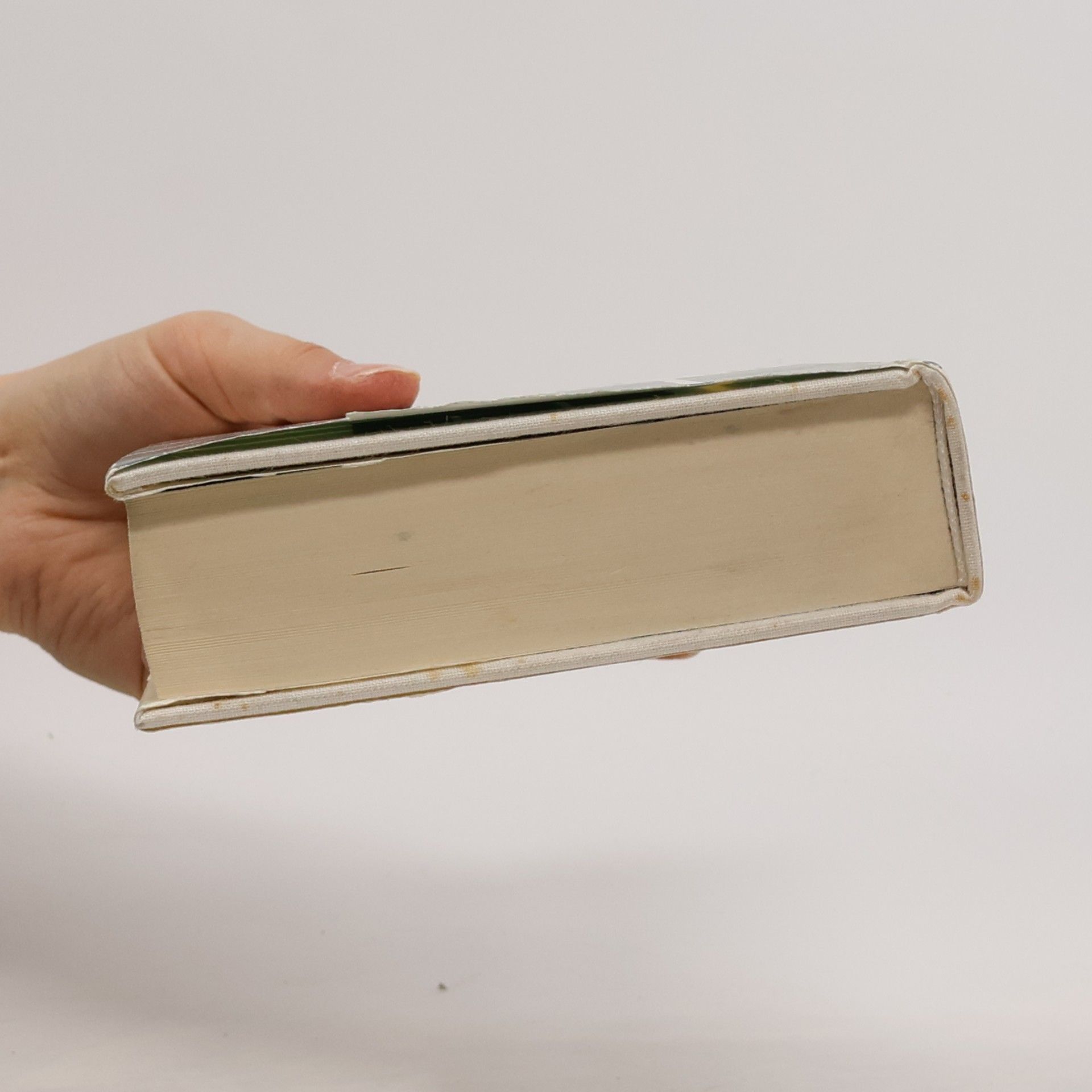 Ilja Grigorjevič Ehrenburg Über Literatur