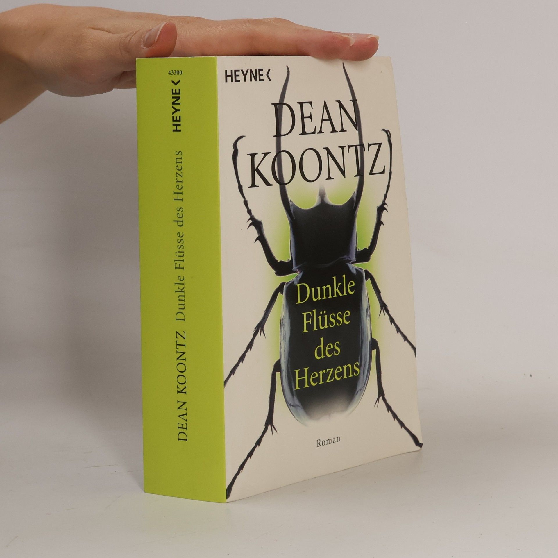 Dean Ray Koontz Dunkle Flüsse des Herzens