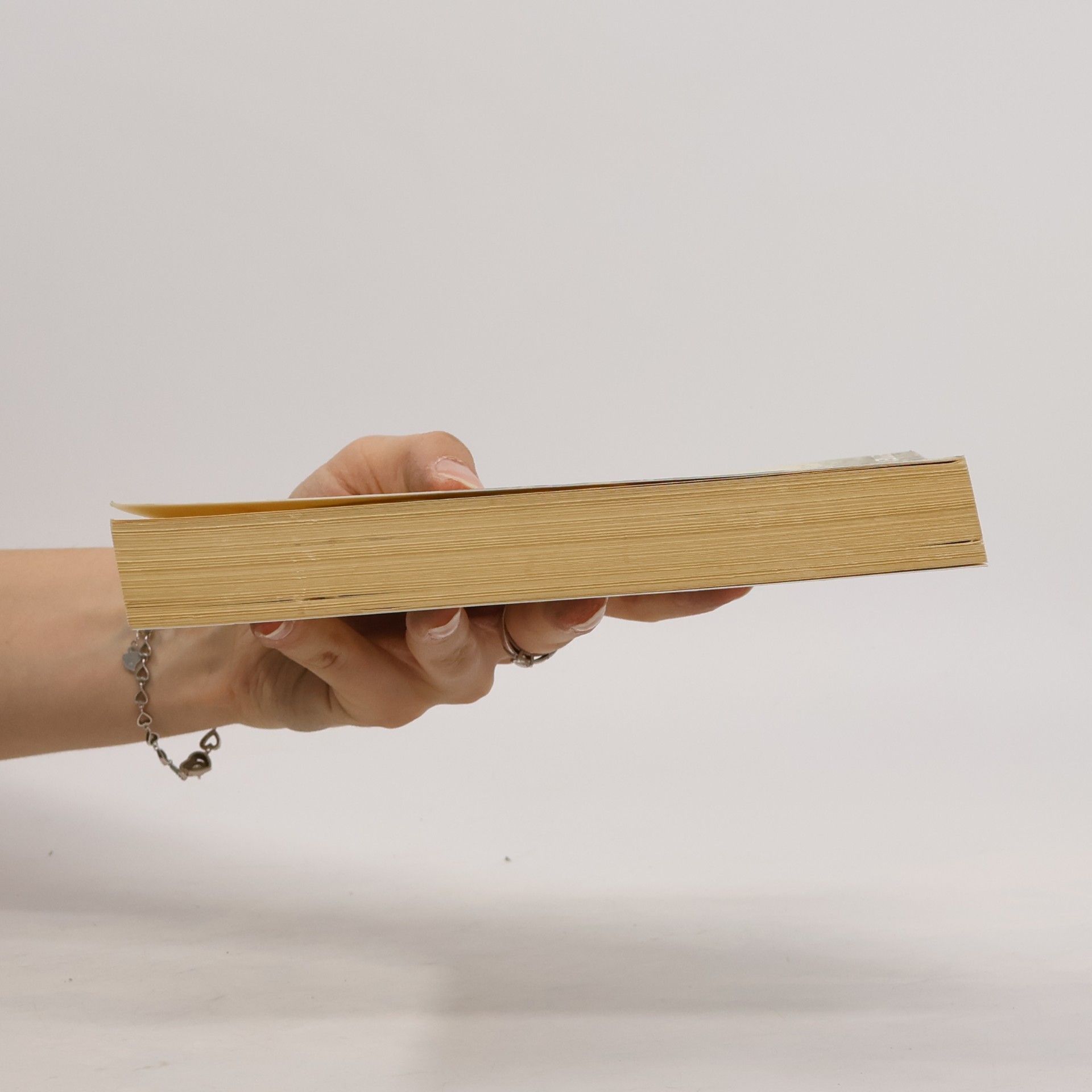 Steven Carroll Die Kunst des Lokomotivführens