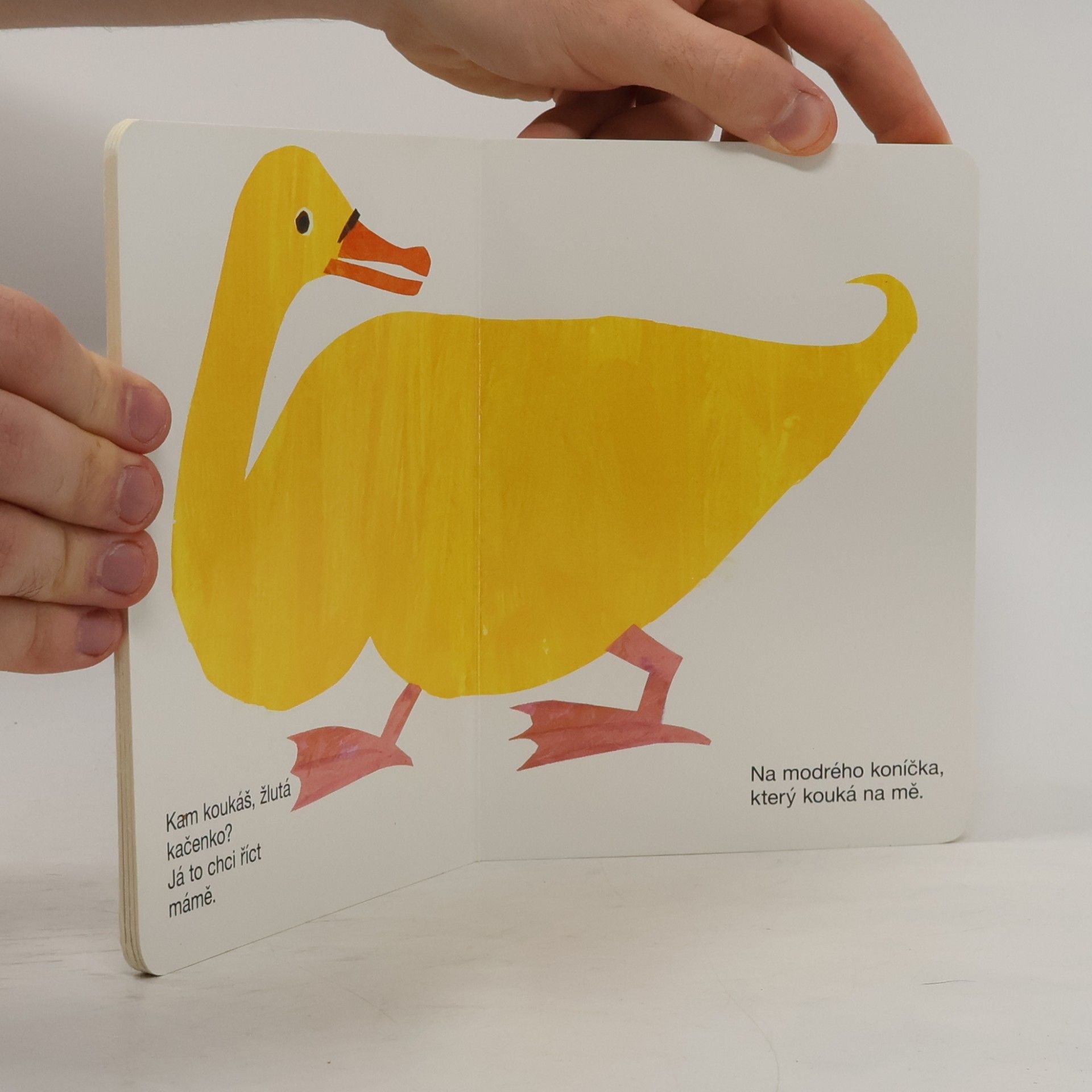 Eric Carle Kam to koukáš, medvěde?
