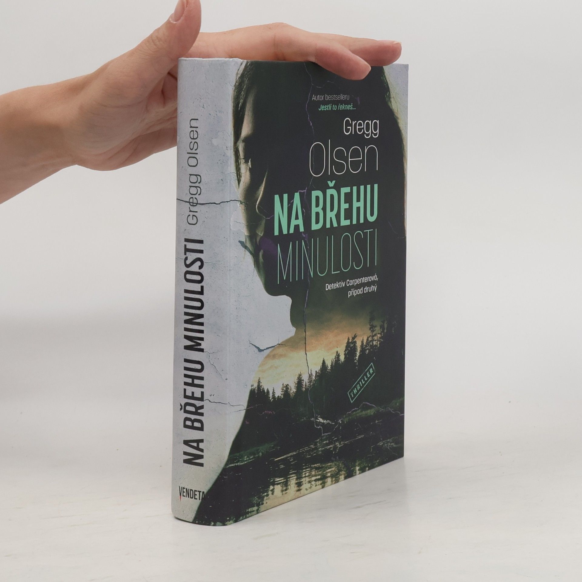Gregg Olsen Na břehu minulosti