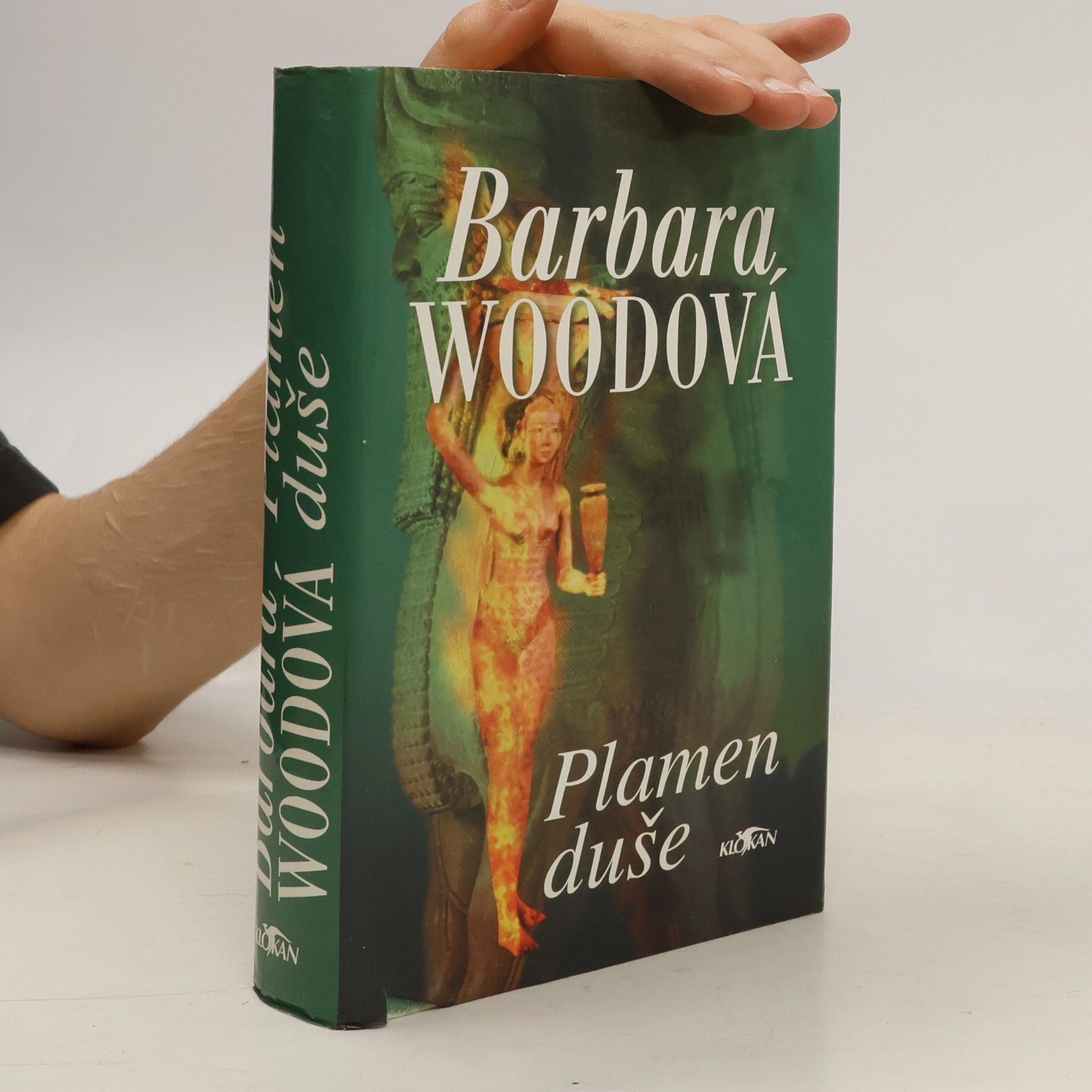 Barbara Wood Plamen duše