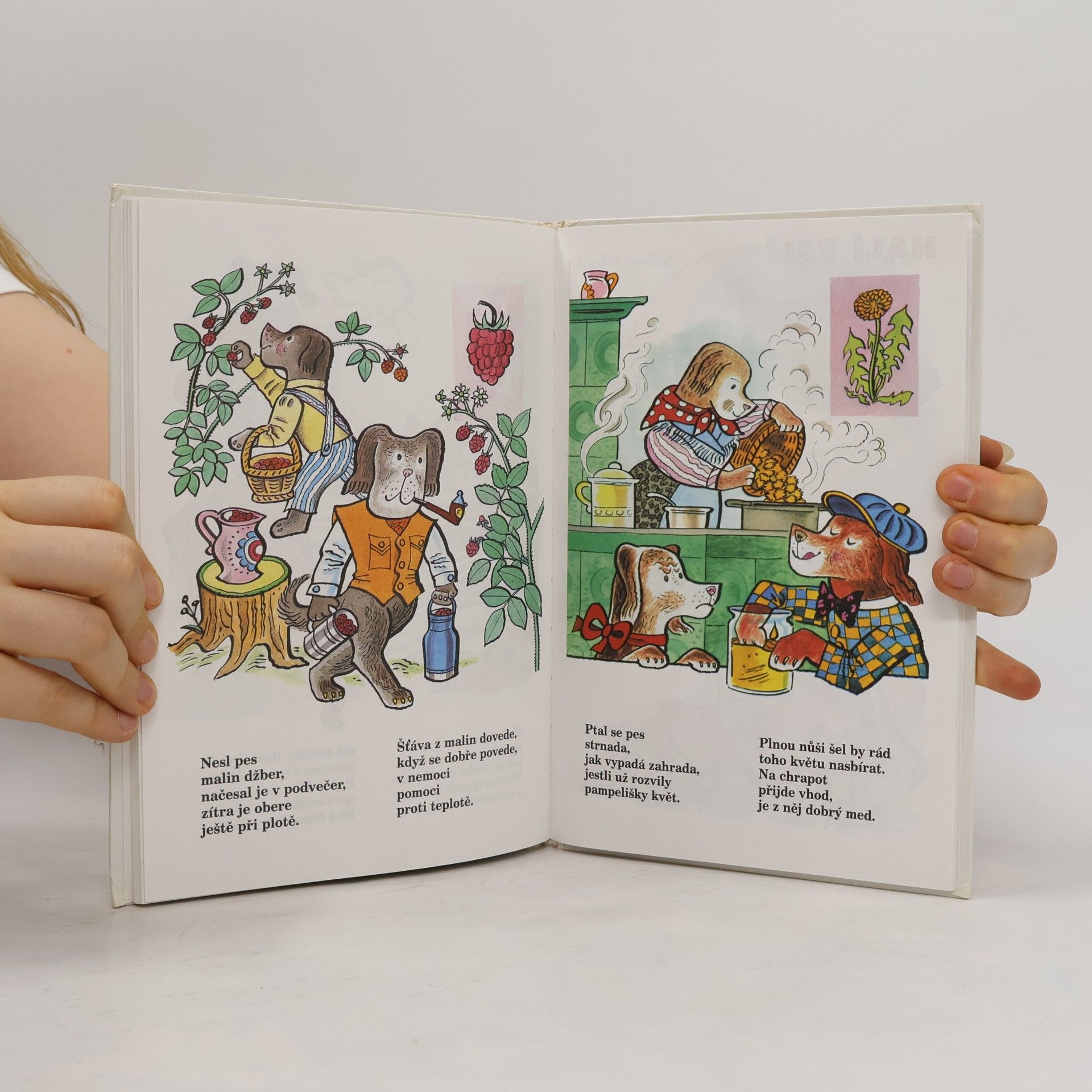 Alena Janoušková Vančurová Trnky, brnky, na ty hrnky