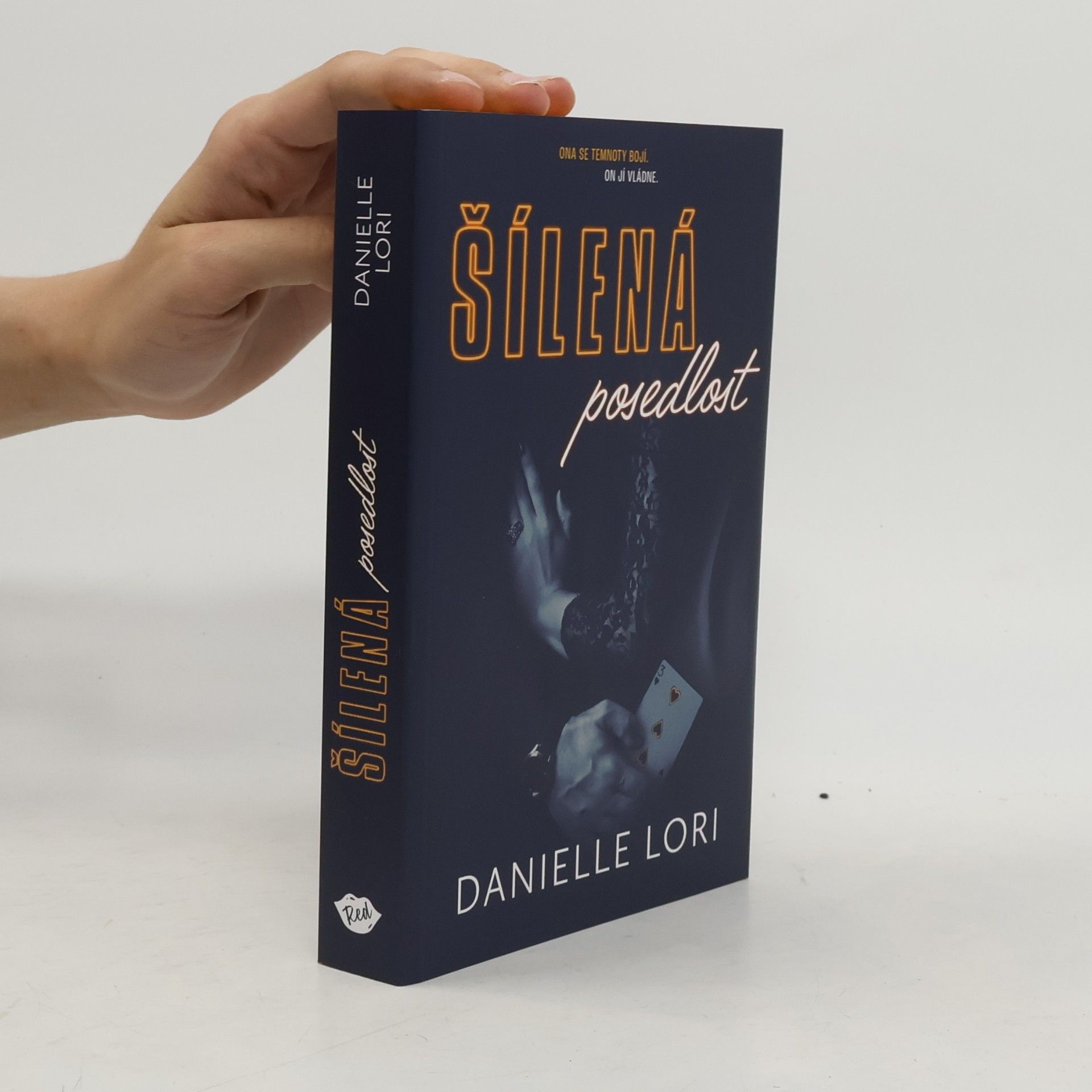 Danielle Lori Šílená posedlost
