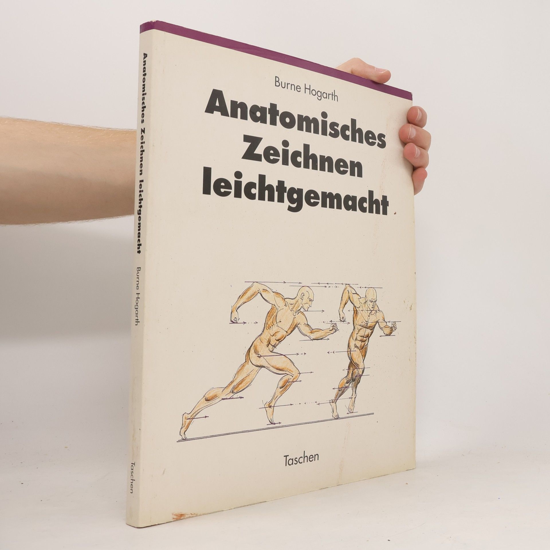 Burne Hogarth Anatomisches Zeichnen leichtgemacht