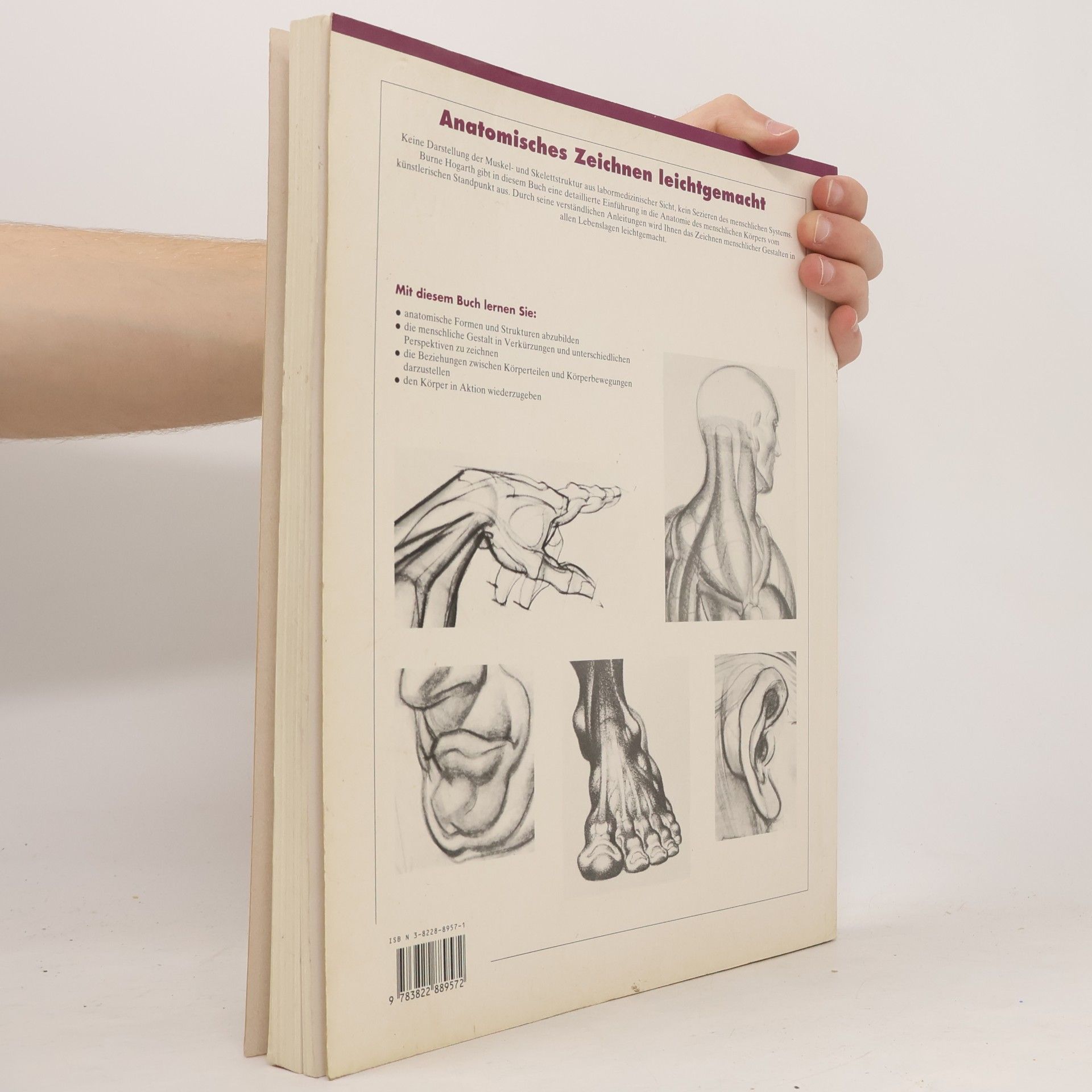 Burne Hogarth Anatomisches Zeichnen leichtgemacht