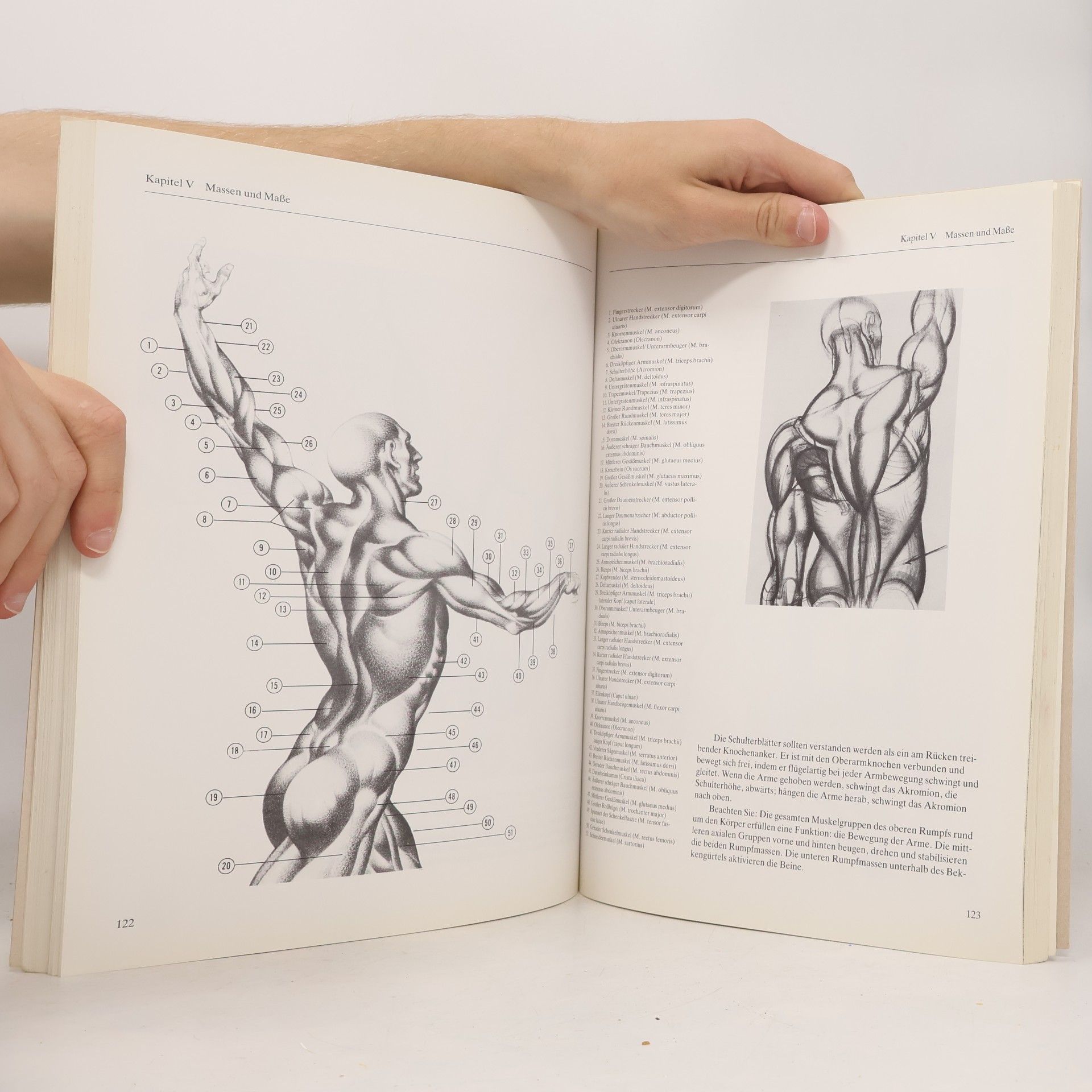 Burne Hogarth Anatomisches Zeichnen leichtgemacht