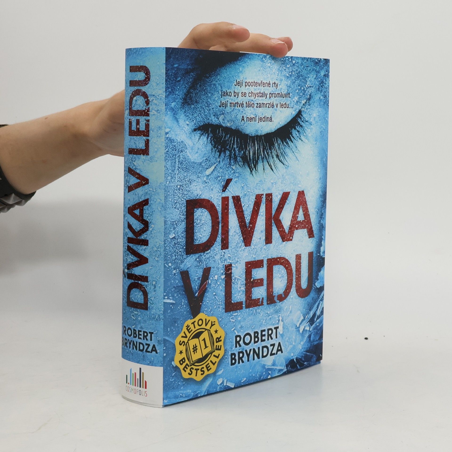 Robert Bryndza Dívka v ledu