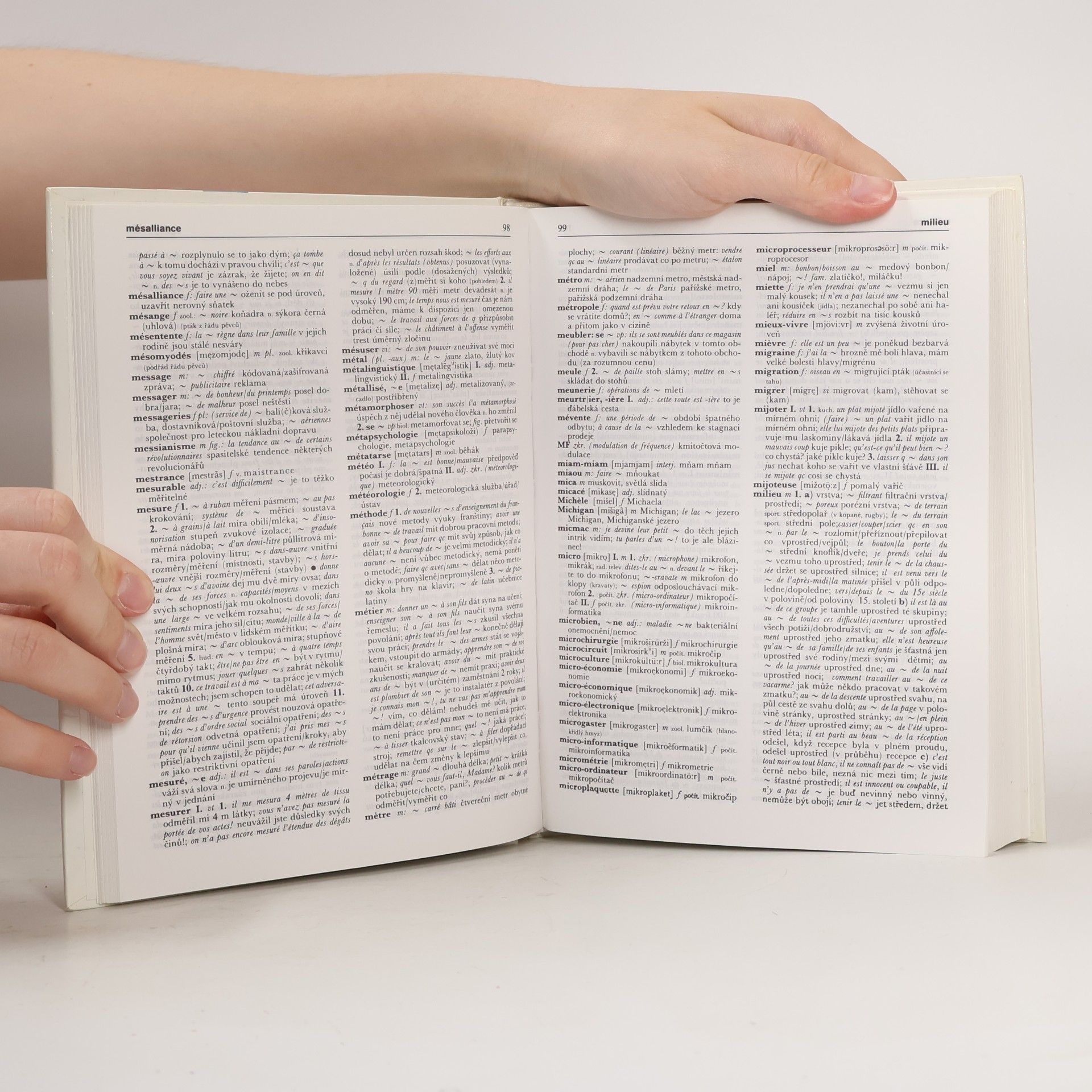 Autorenkollektiv Velký francouzsko-český slovník. Dodatky