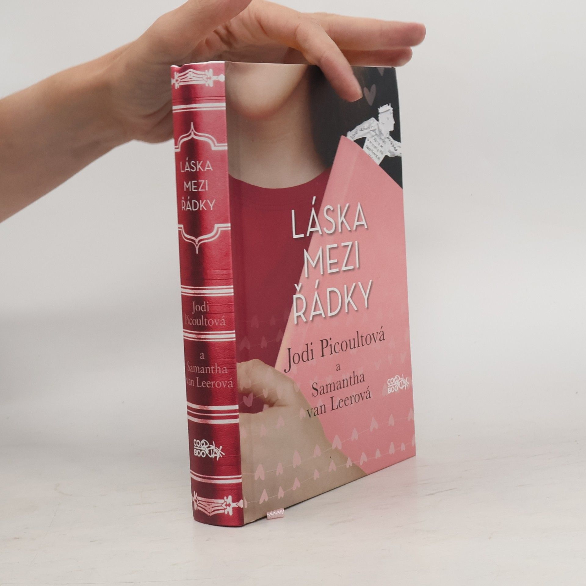 Jodi Picoult Láska mezi řádky