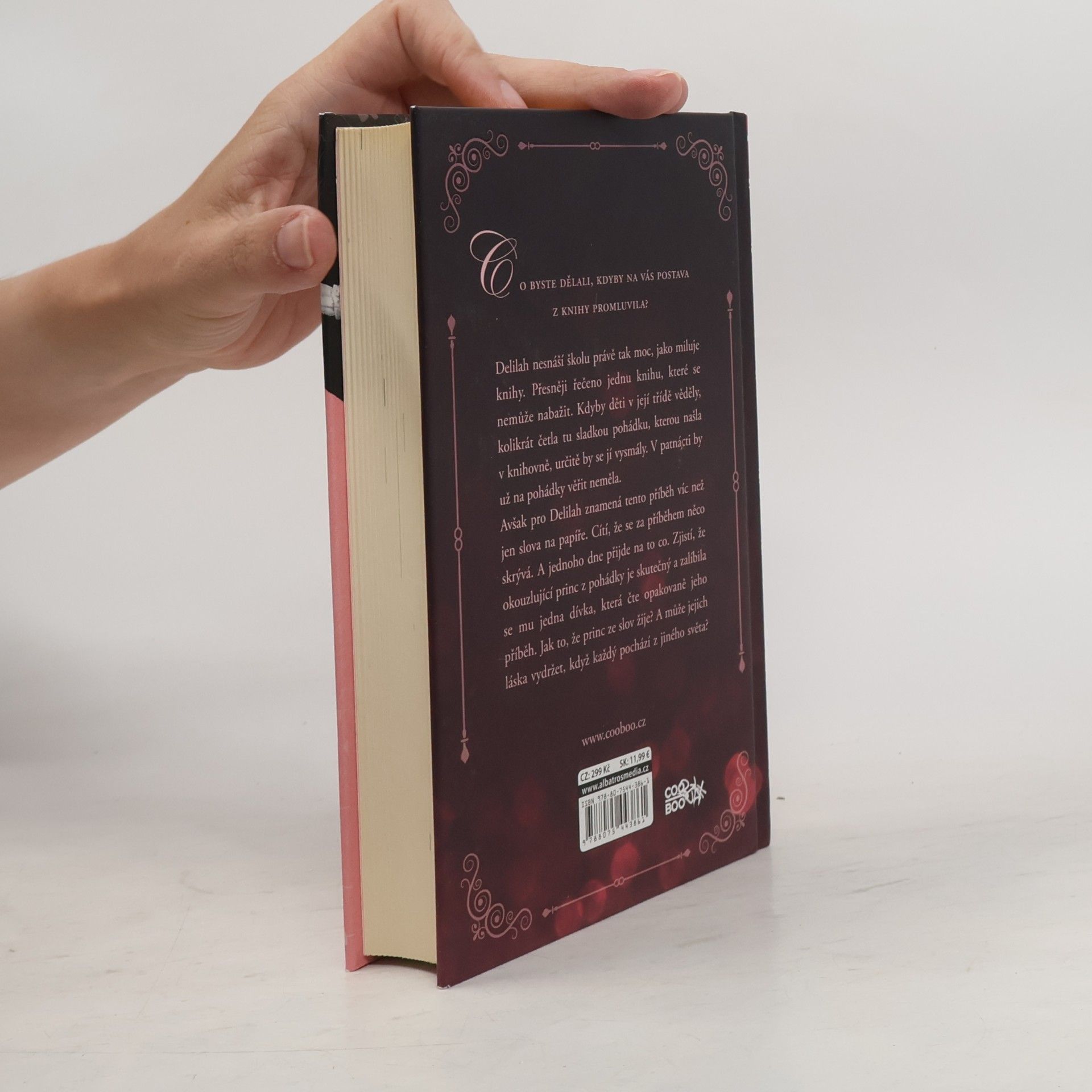 Jodi Picoult Láska mezi řádky