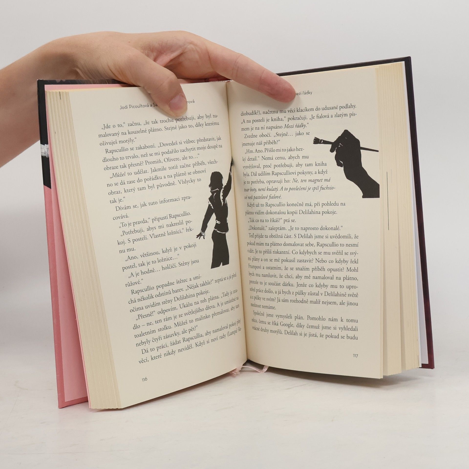 Jodi Picoult Láska mezi řádky