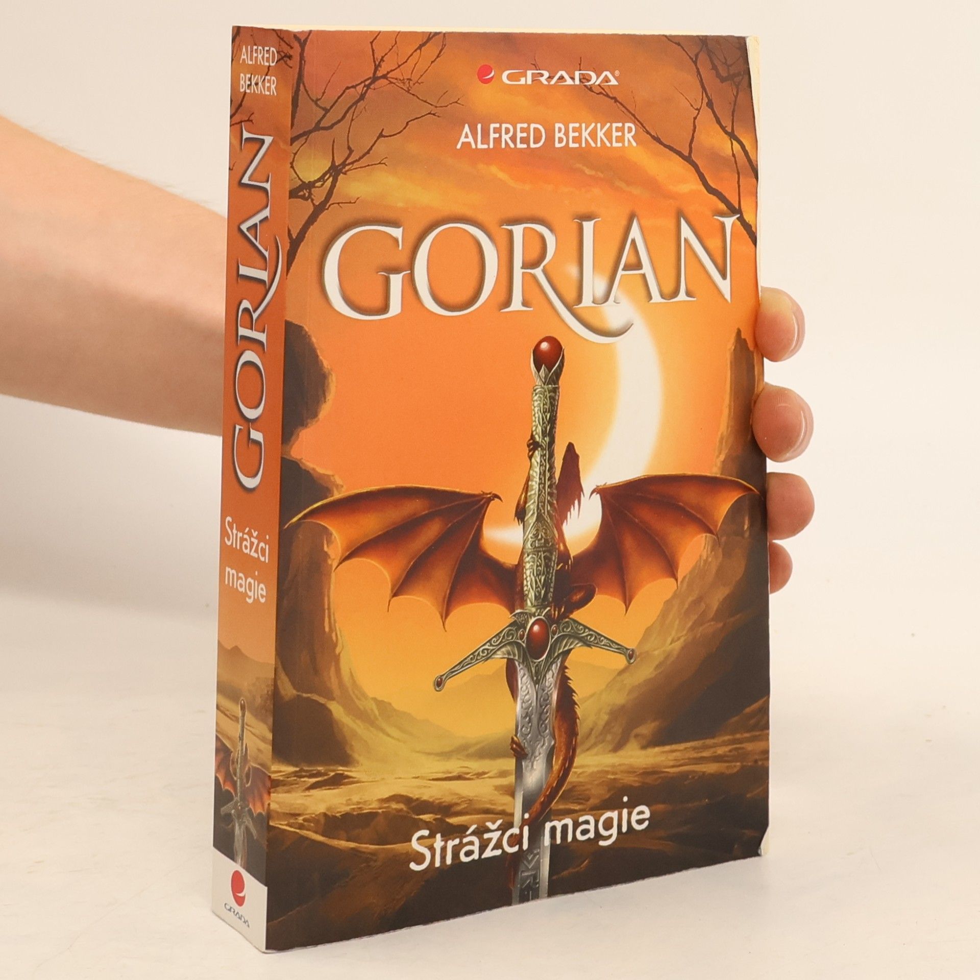 Leslie Garber Gorian. Strážci magie