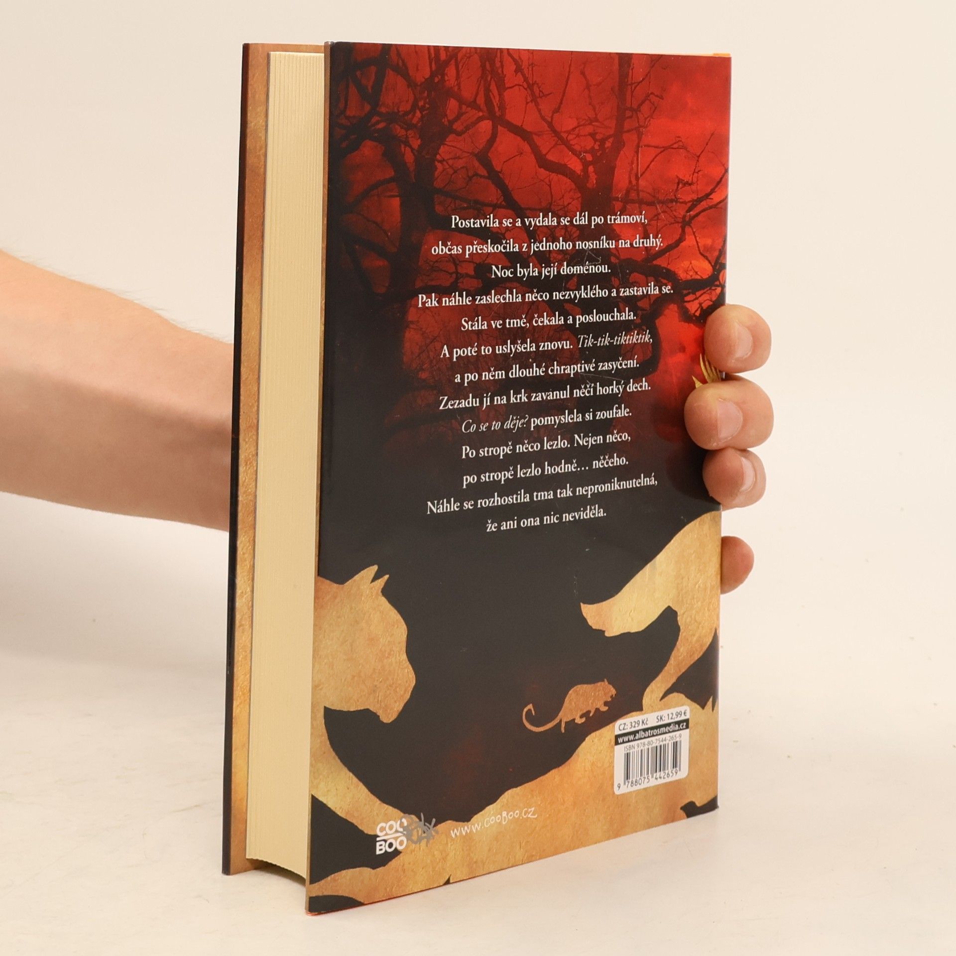 Robert Beatty Serafina a čarodějná hůl