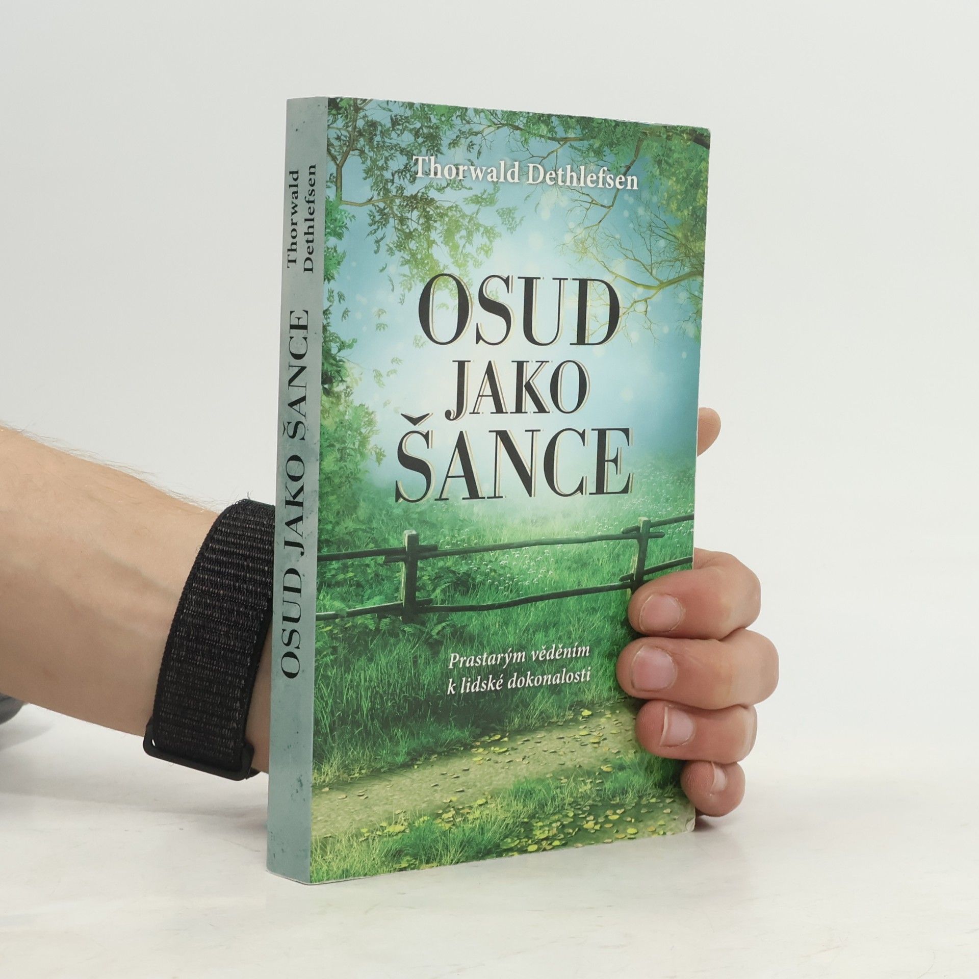 Thorwald Dethlefsen Osud jako šance