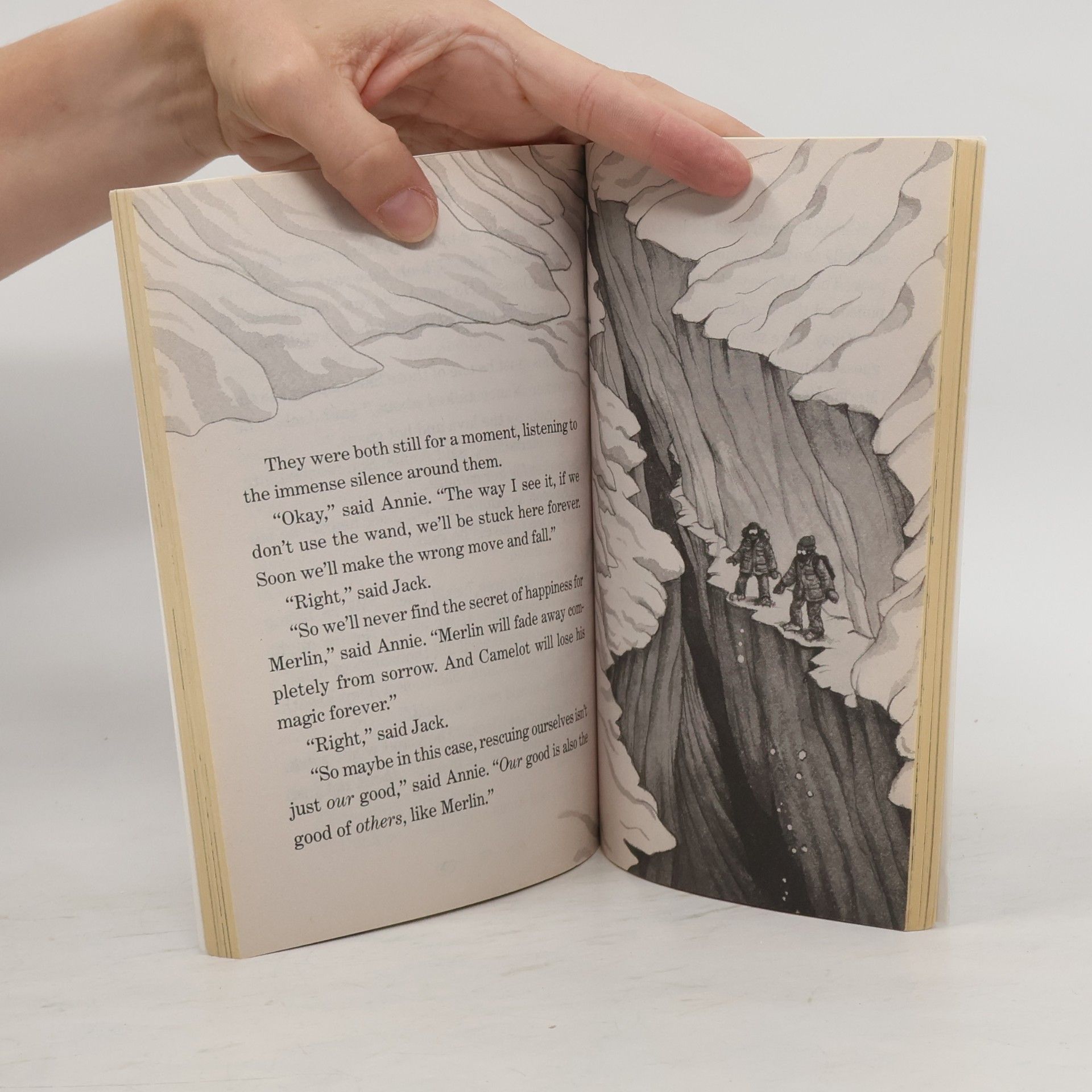 Mary Pope Osborne Magic Tree House #40