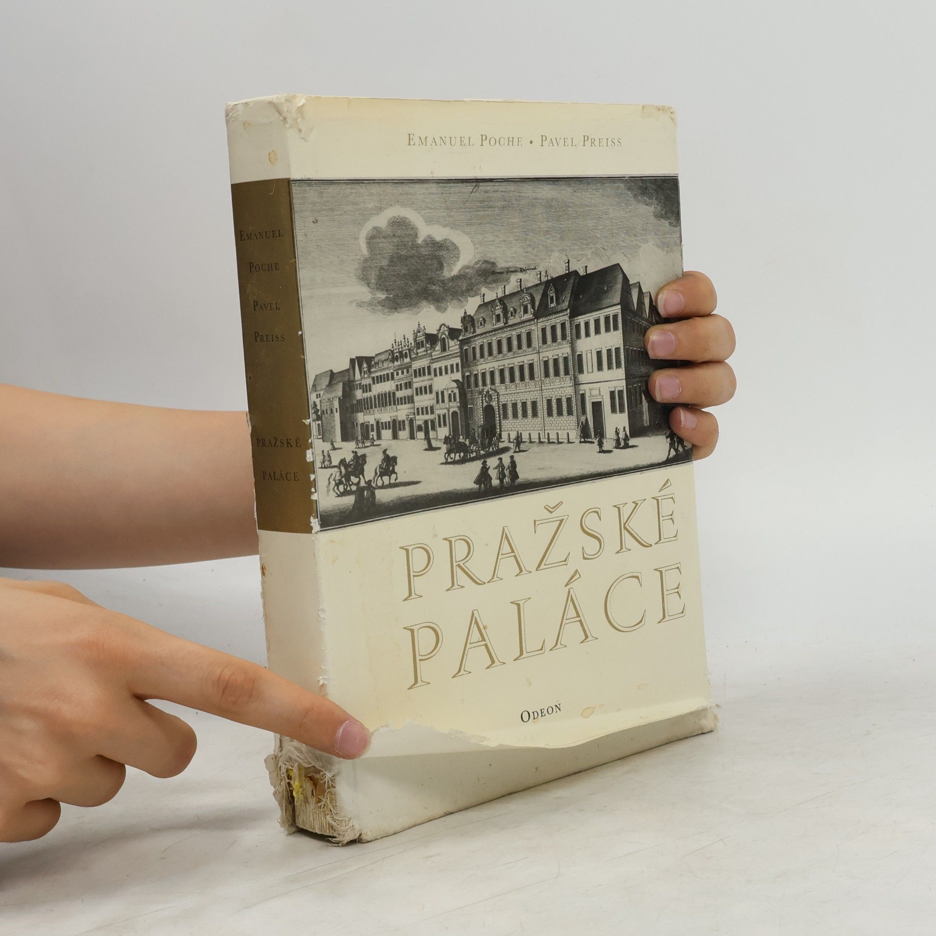 Emanuel Poche Pražské paláce