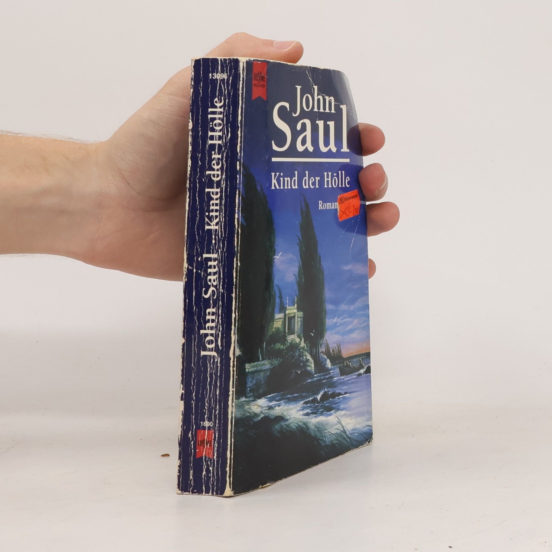 John Saul Kind der Hölle