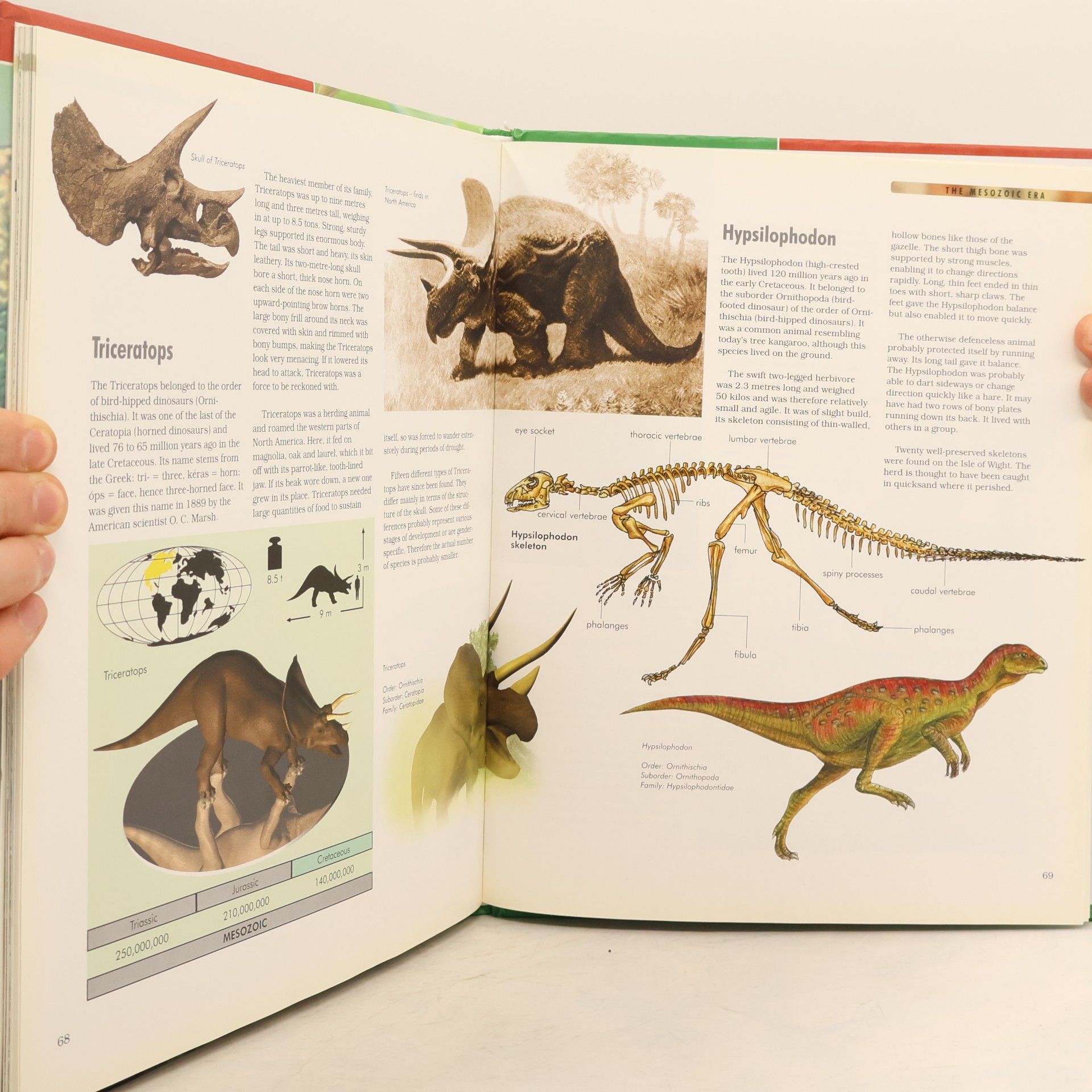 Autorenkollektiv The Dinosaurs