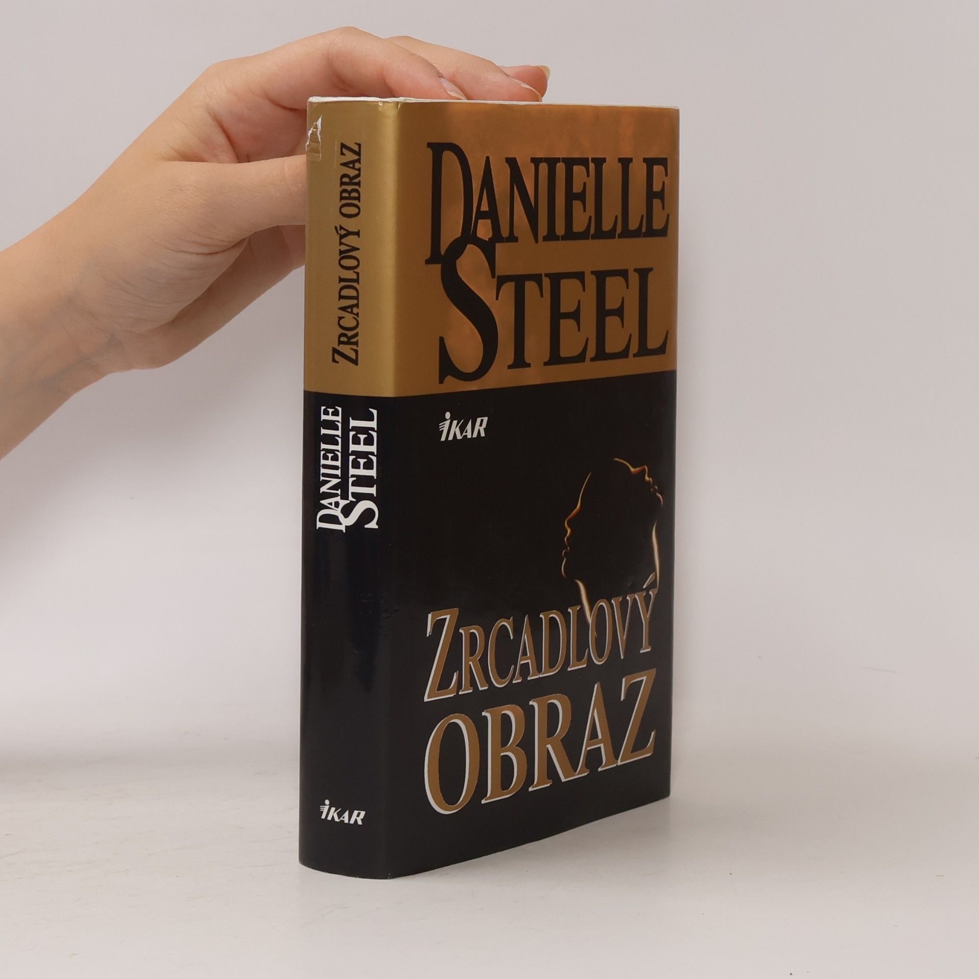Danielle Steel Zrcadlový obraz