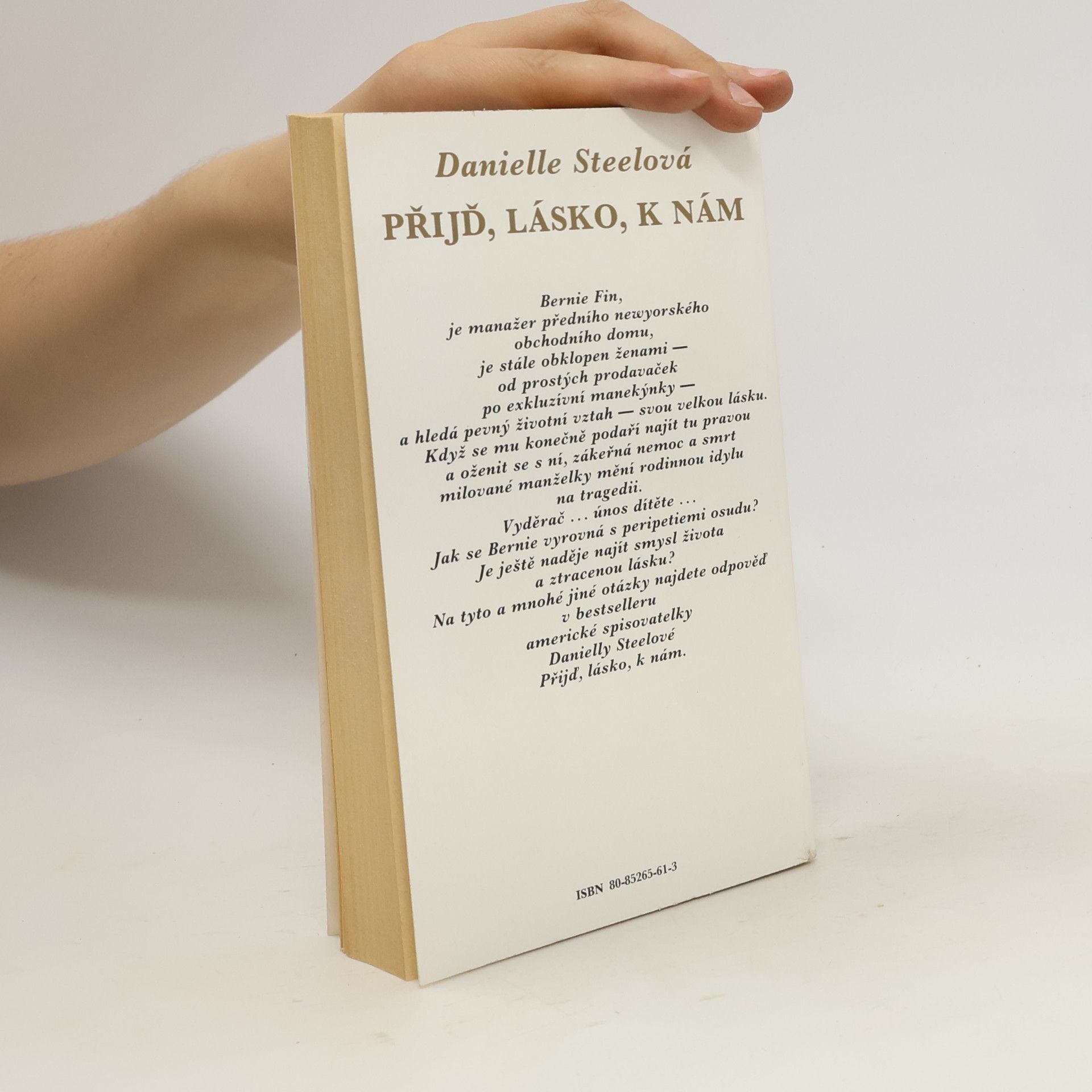 Danielle Steel Přijď, lásko, k nám