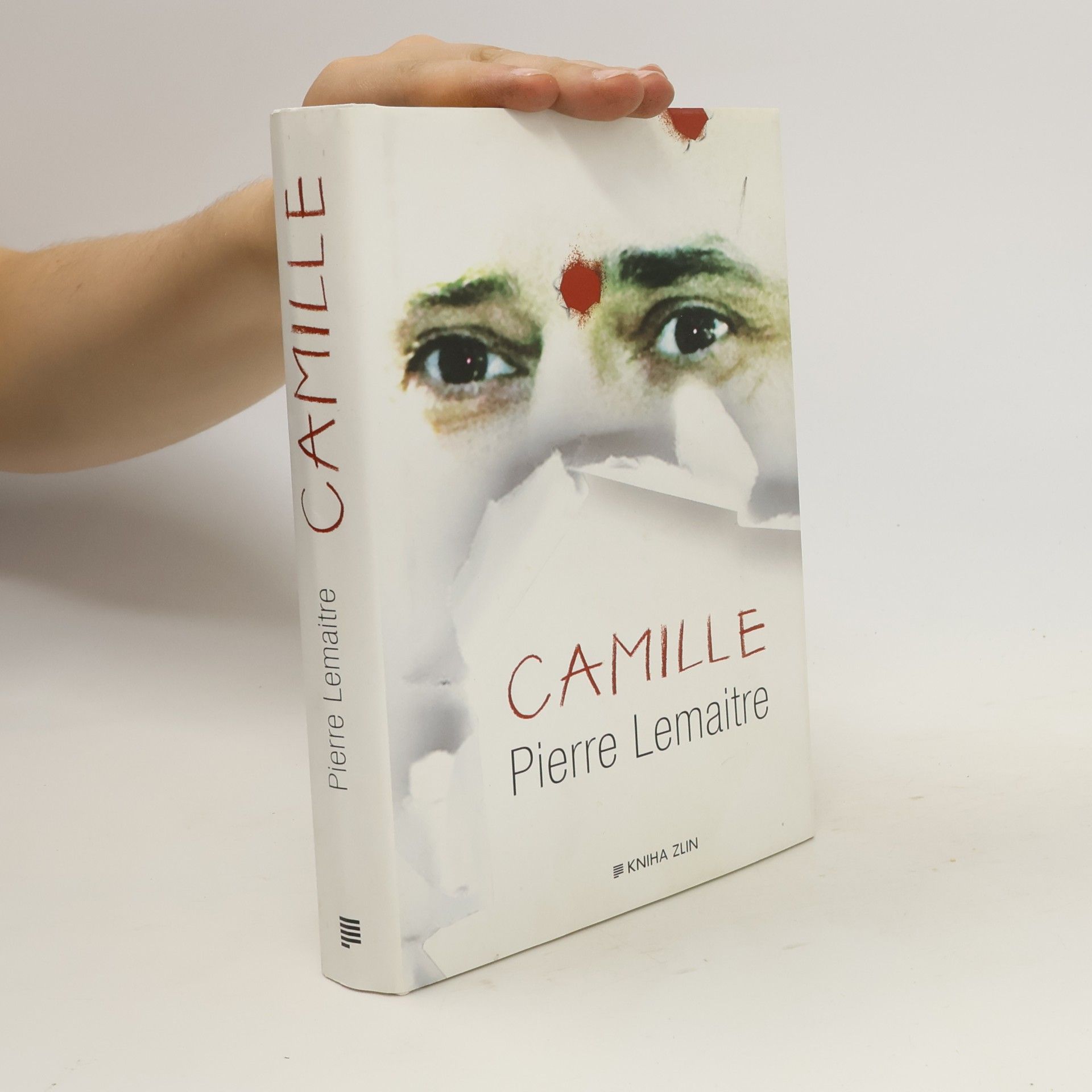 Pierre Lemaitre Camille