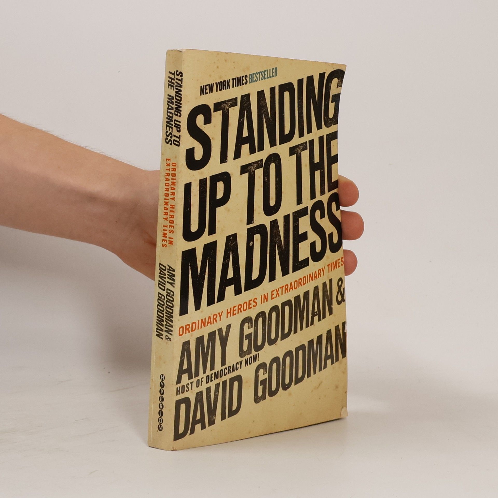 Amy Goodman Standing up to the madness