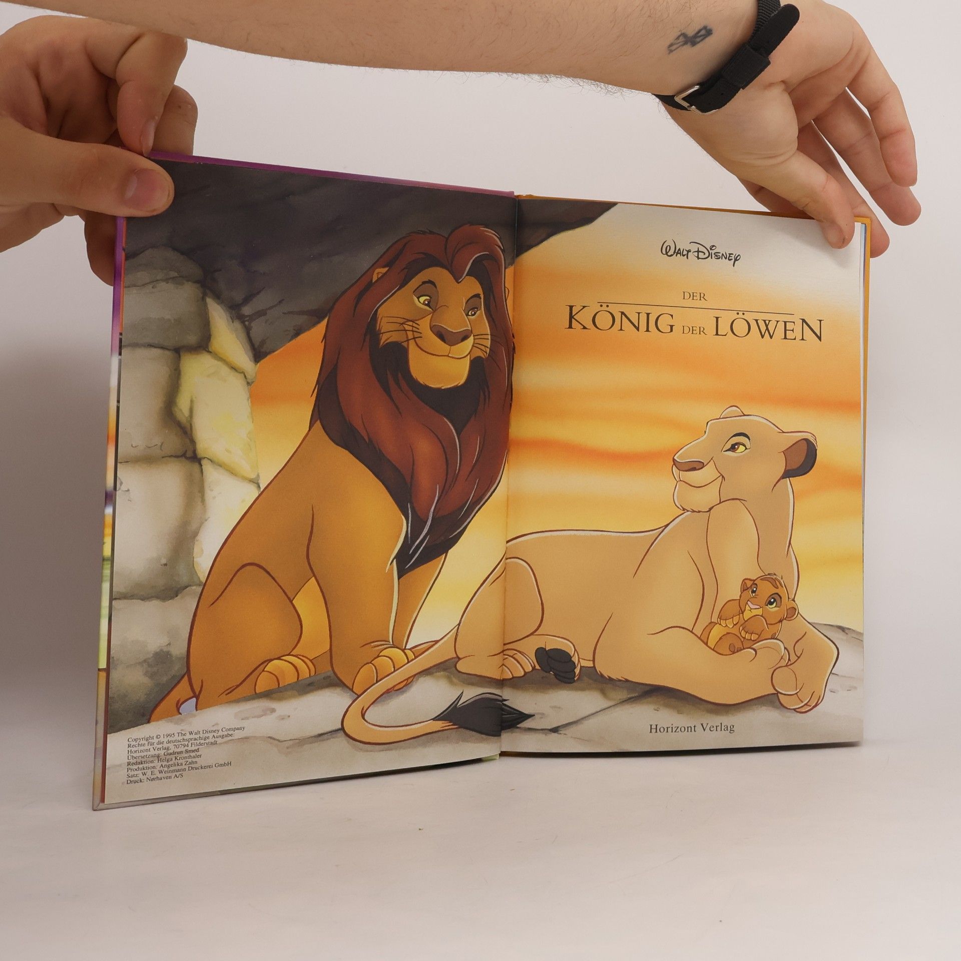 Auteurscollectief Der König der Löwen