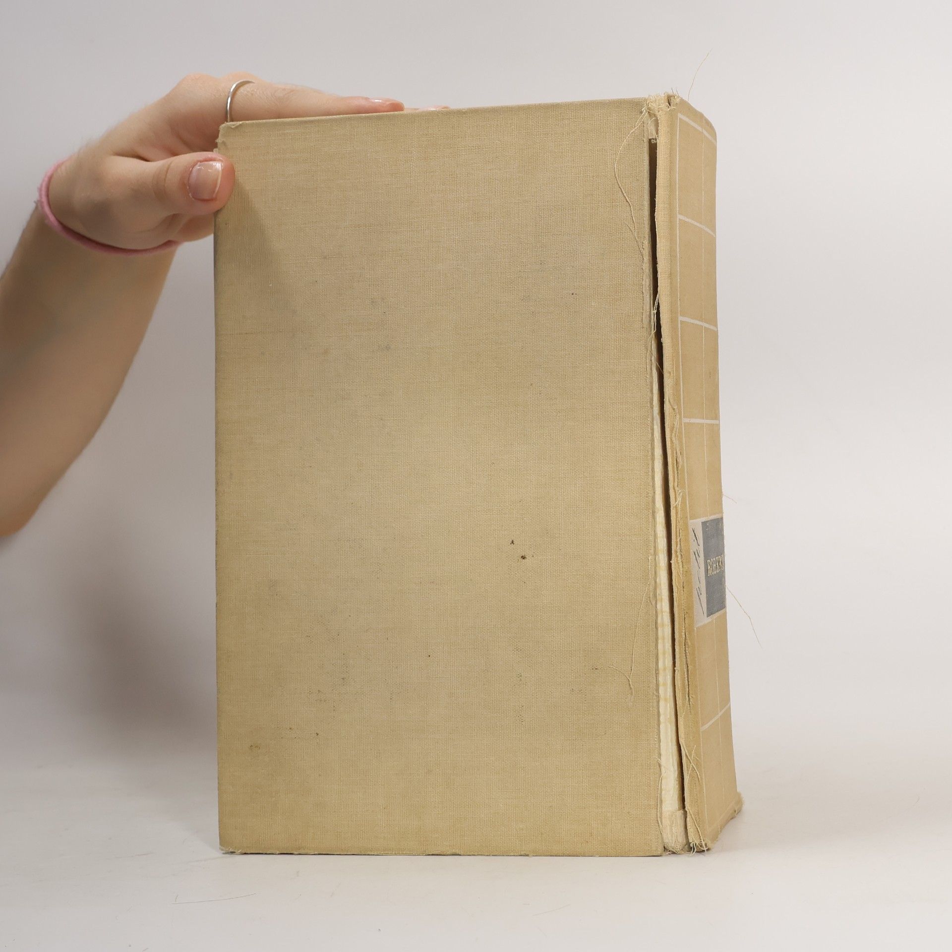 Autorenkollektiv Petit Robert. Dictionnaire alphabétique et analogique de la langue française