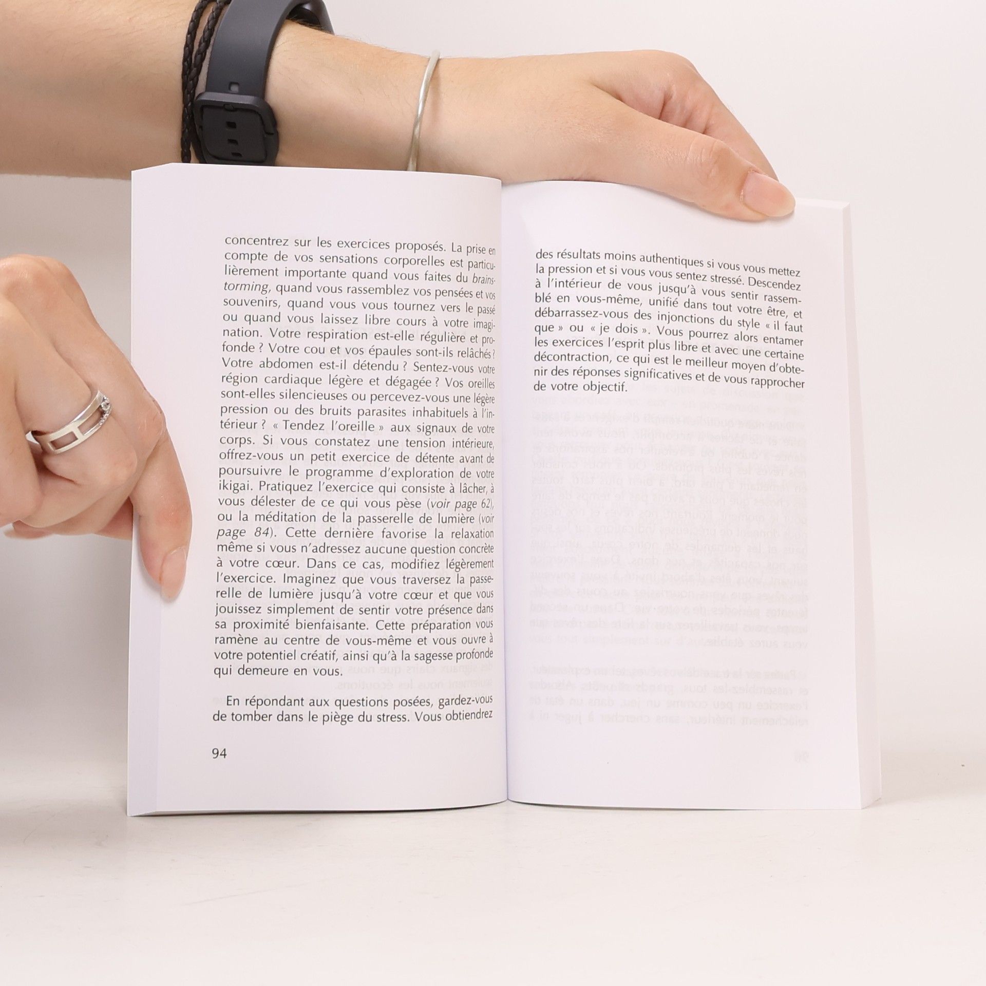 Bettina Lemke Le livre de l'ikigai