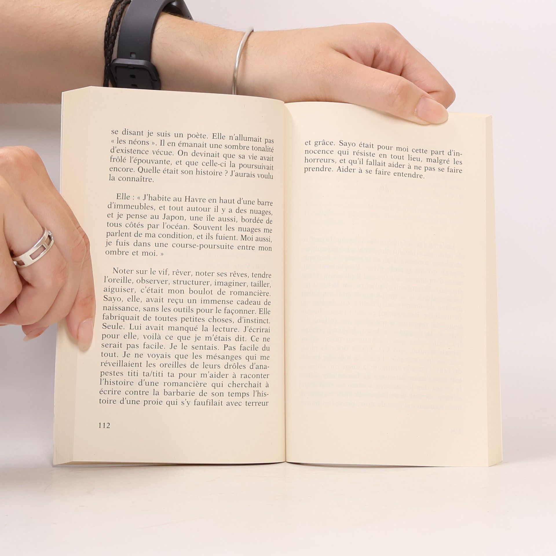 Claudie Hunzinger La langue des oiseaux
