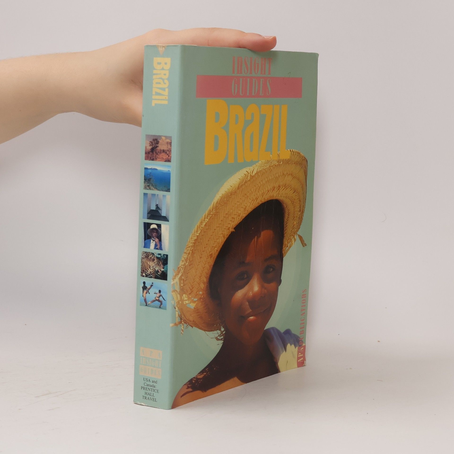 Autorenkollektiv Insight Guides. Brazil