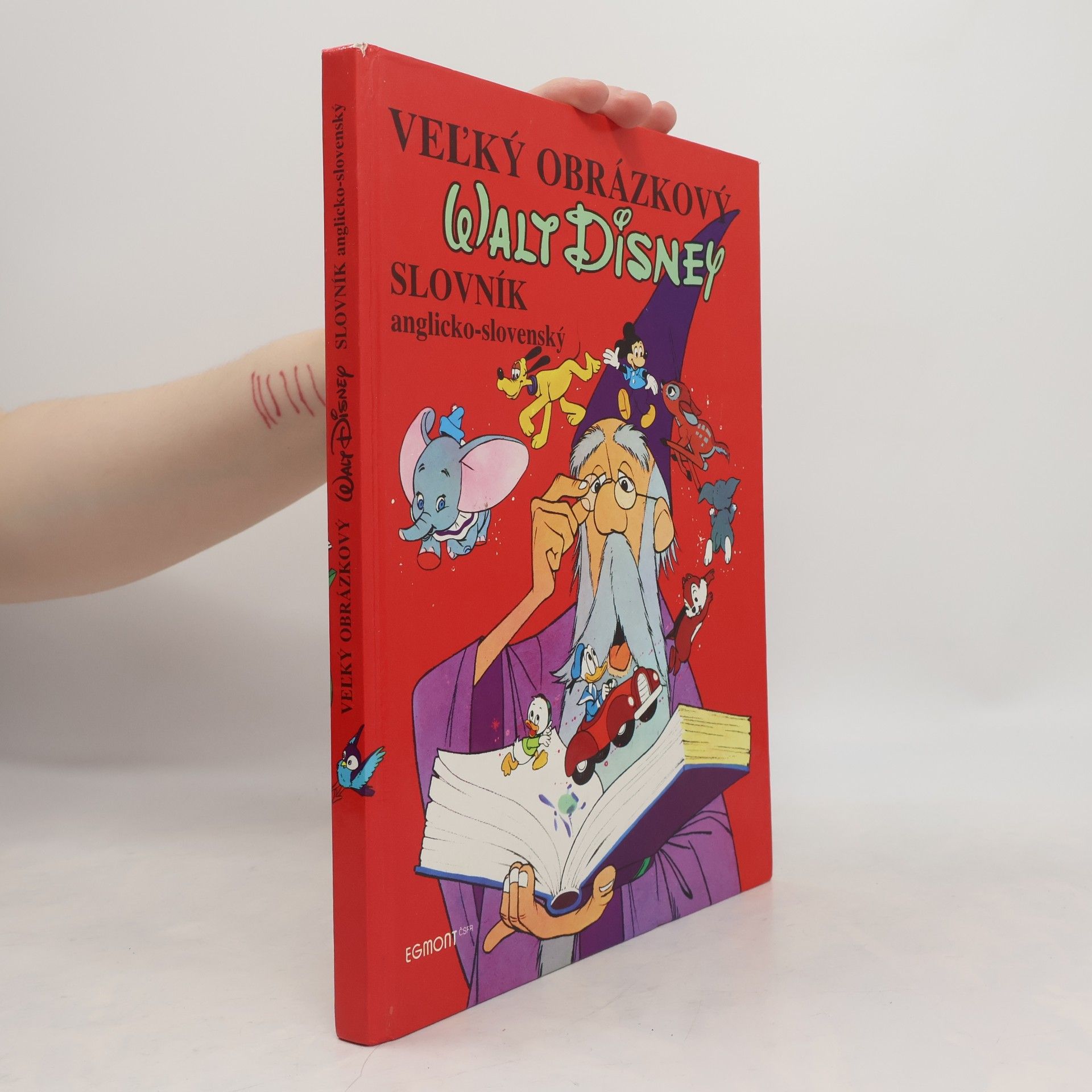Walt Disney Vel’ký obrázkový slovník anglicko - slovenský