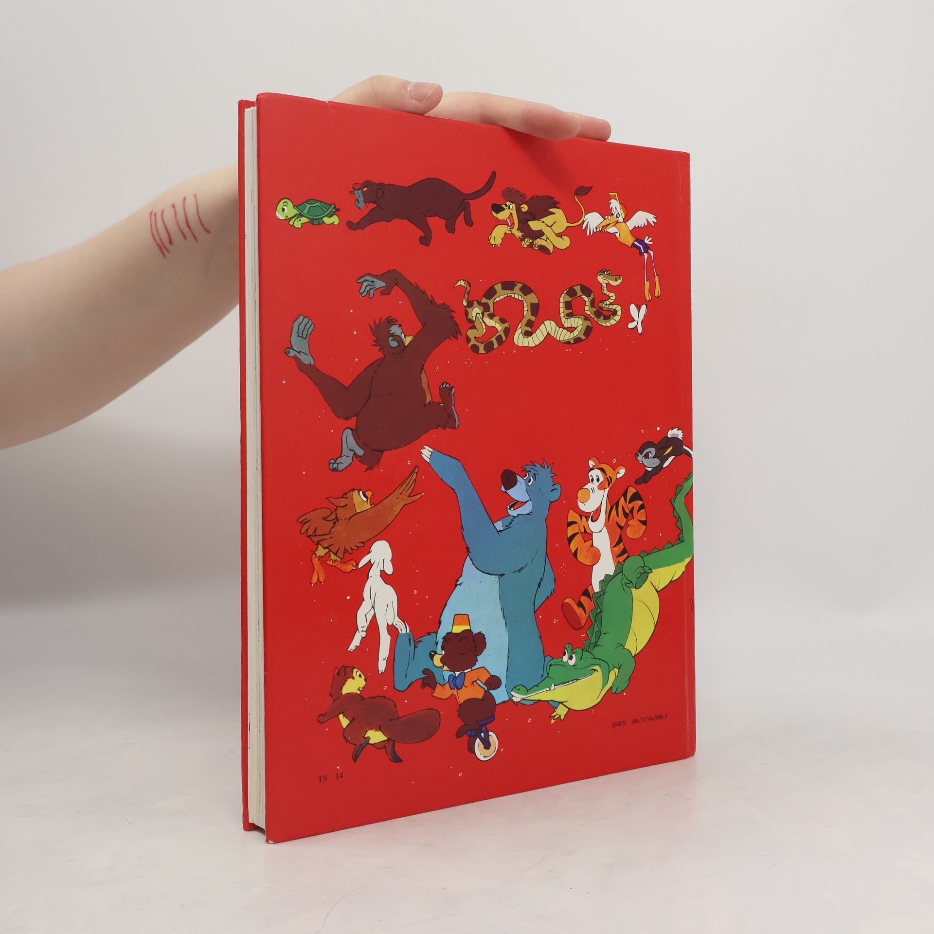 Walt Disney Vel’ký obrázkový slovník anglicko - slovenský