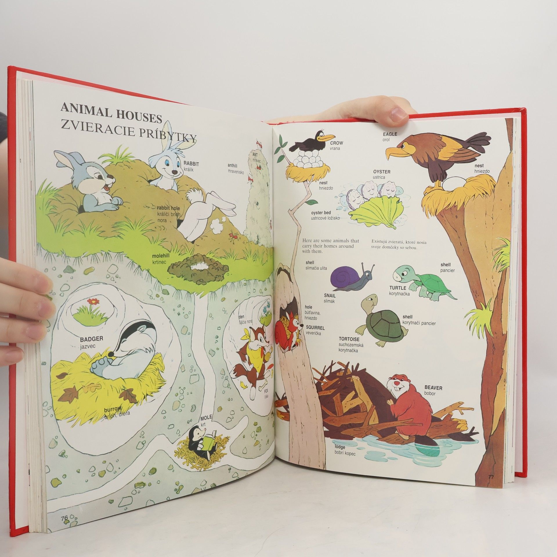 Walt Disney Vel’ký obrázkový slovník anglicko - slovenský