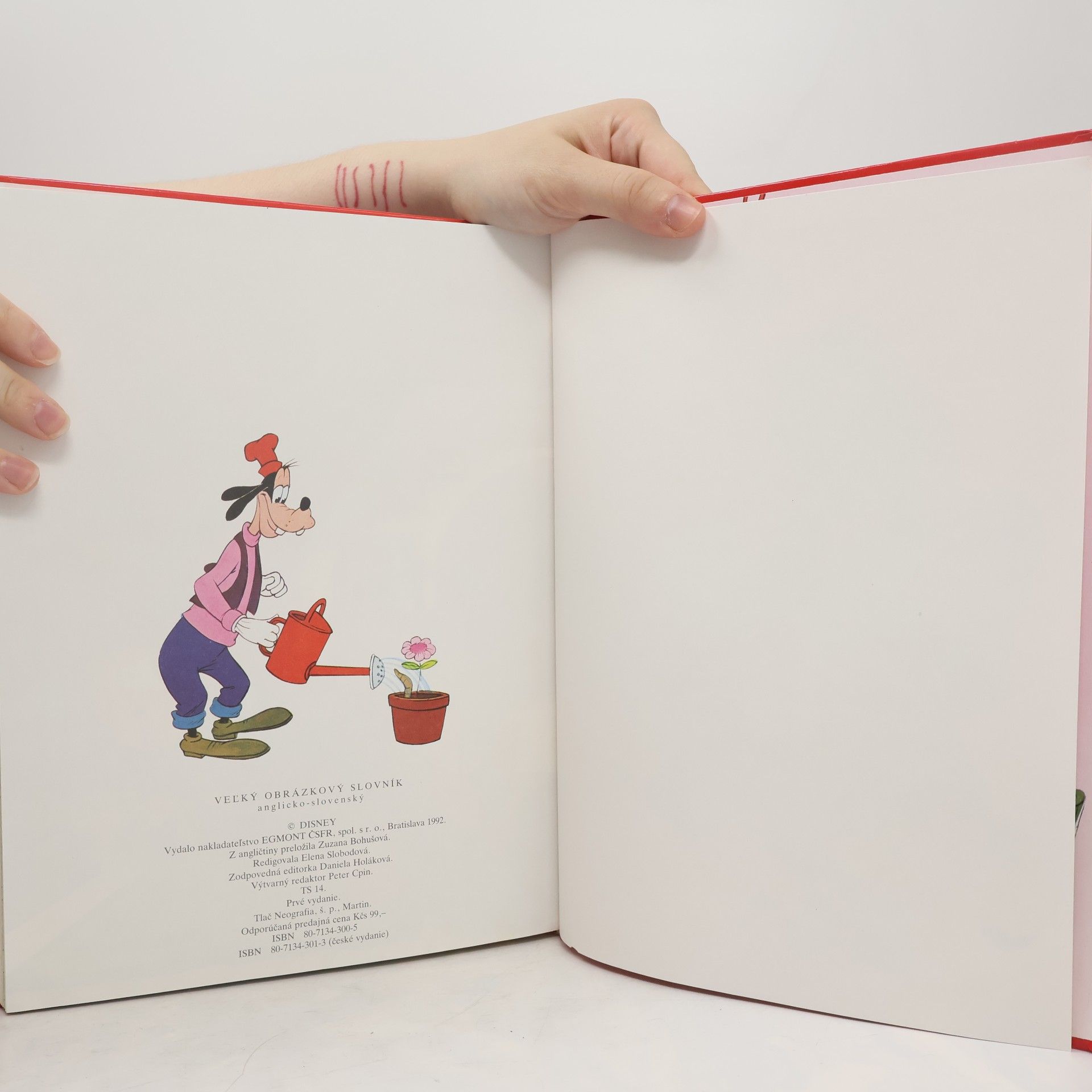 Walt Disney Vel’ký obrázkový slovník anglicko - slovenský