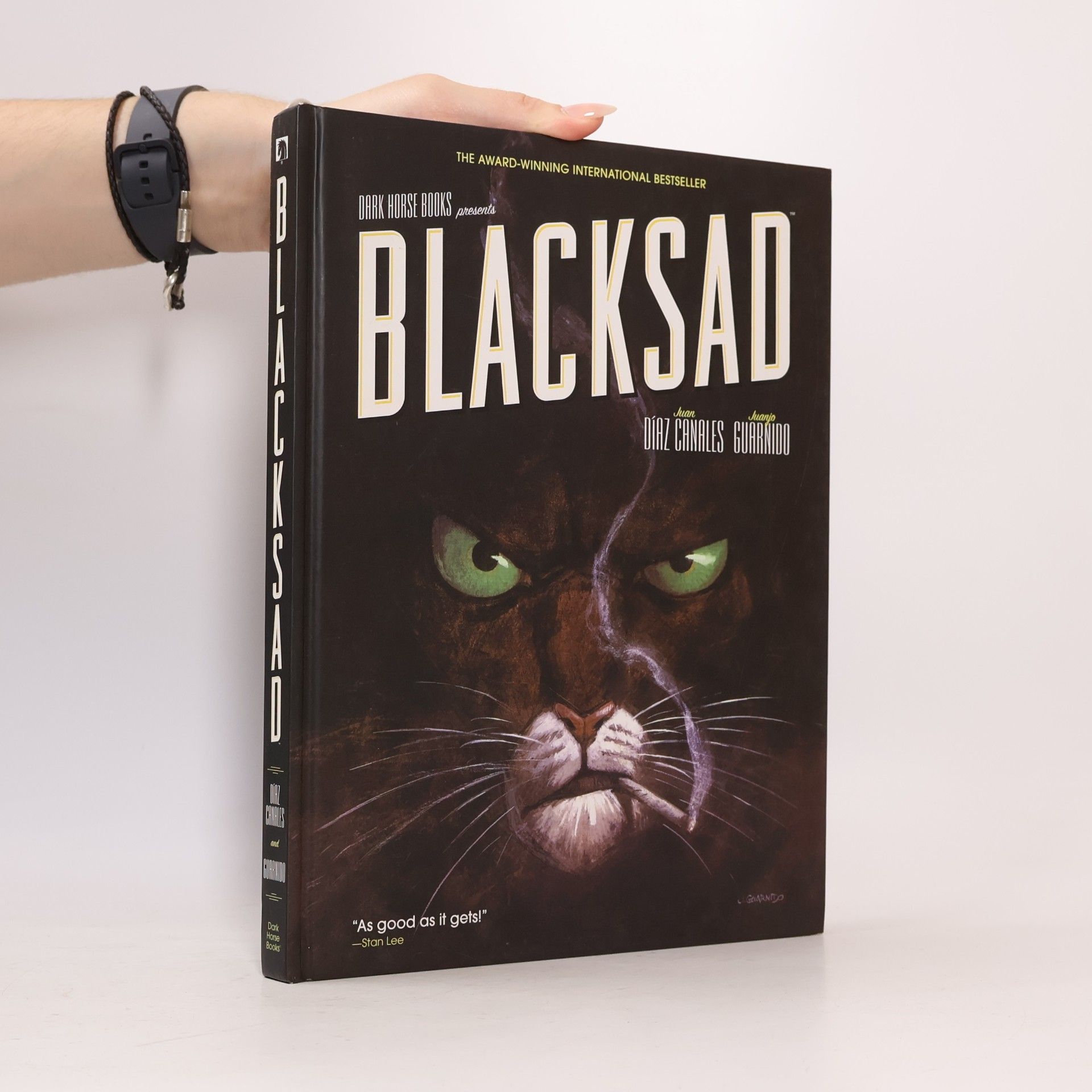 Juan Díaz Canales Blacksad