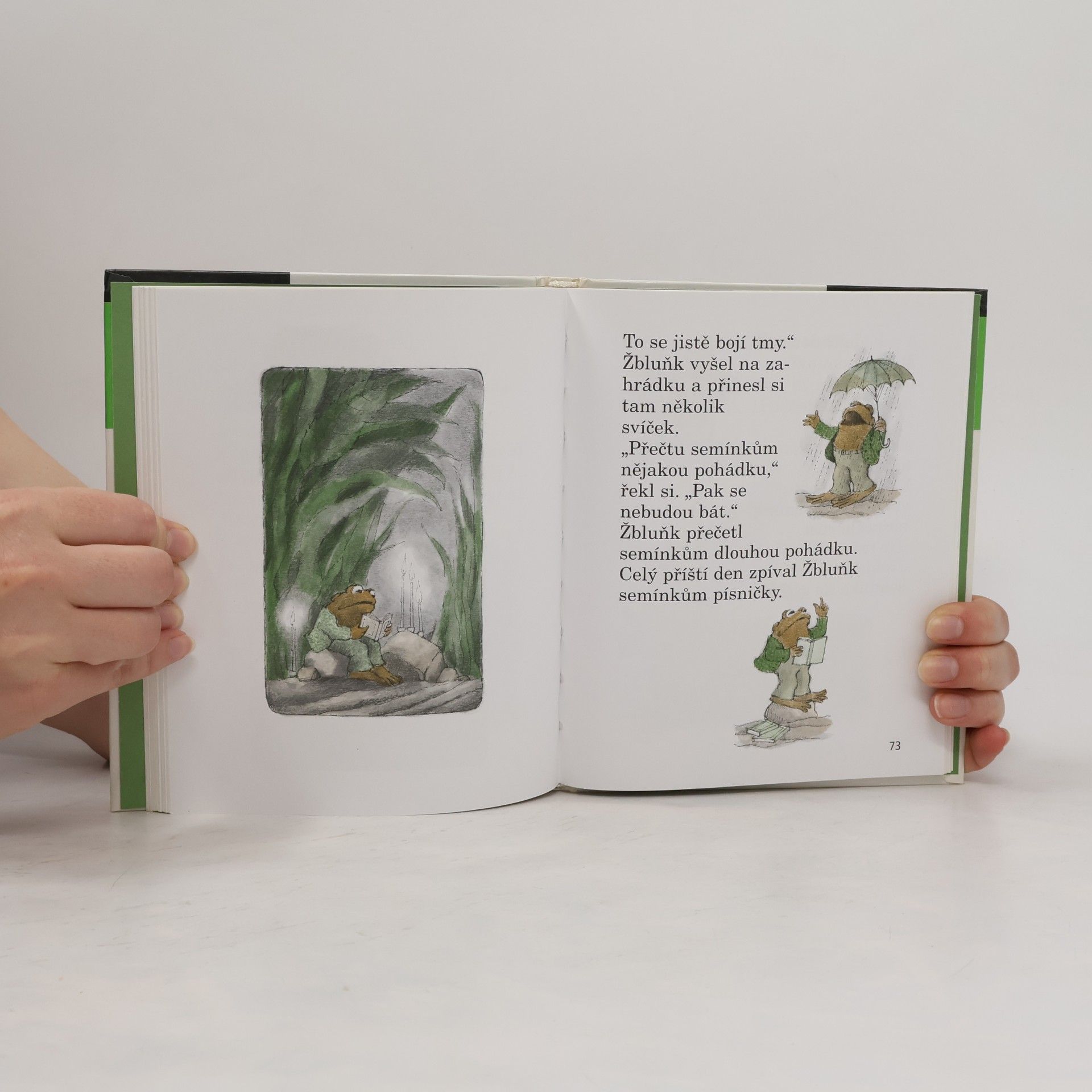 Arnold Lobel Kvak a Žbluňk jsou kamarádi
