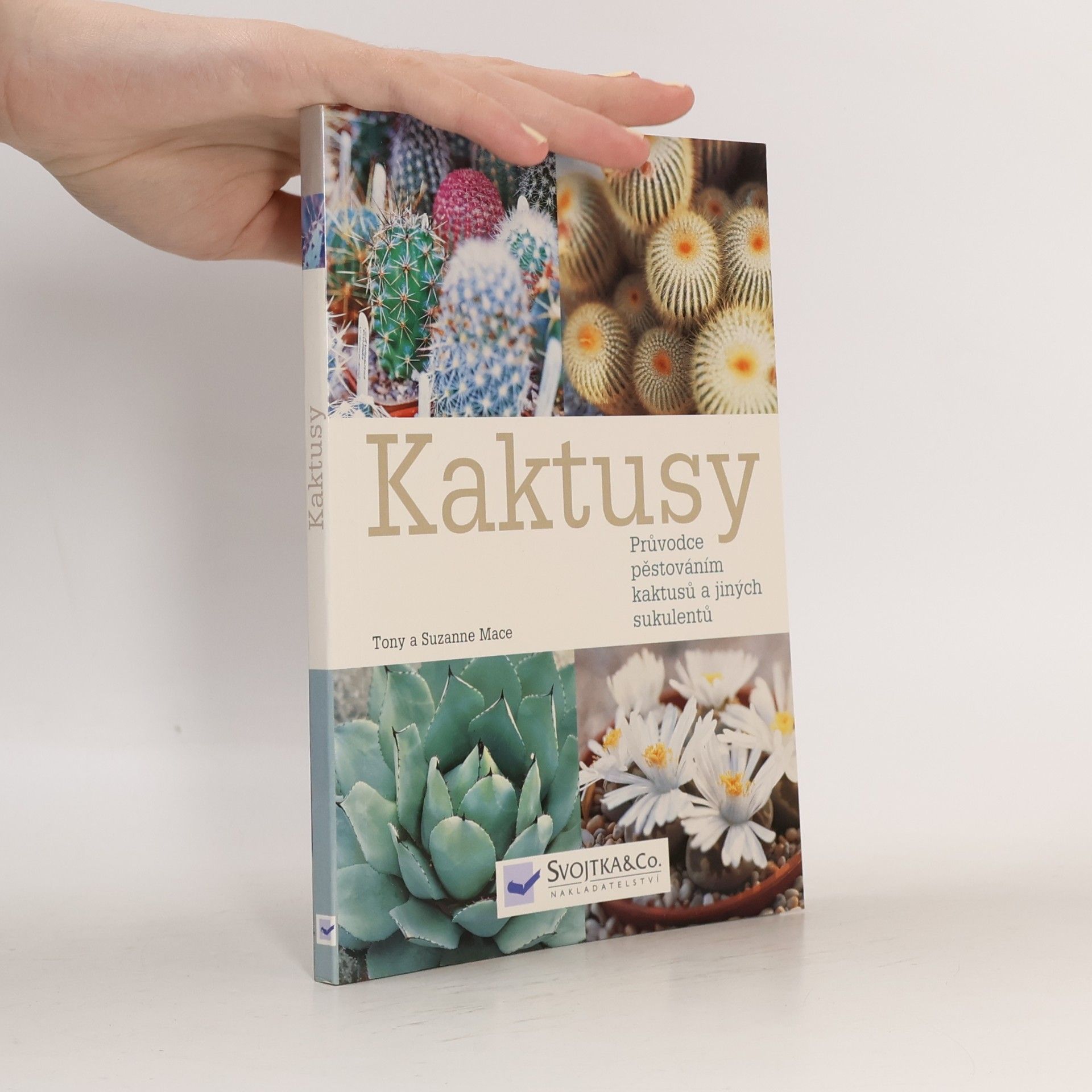 Suzanne Mace Kaktusy : průvodce pěstováním kaktusů a jiných sukulentů