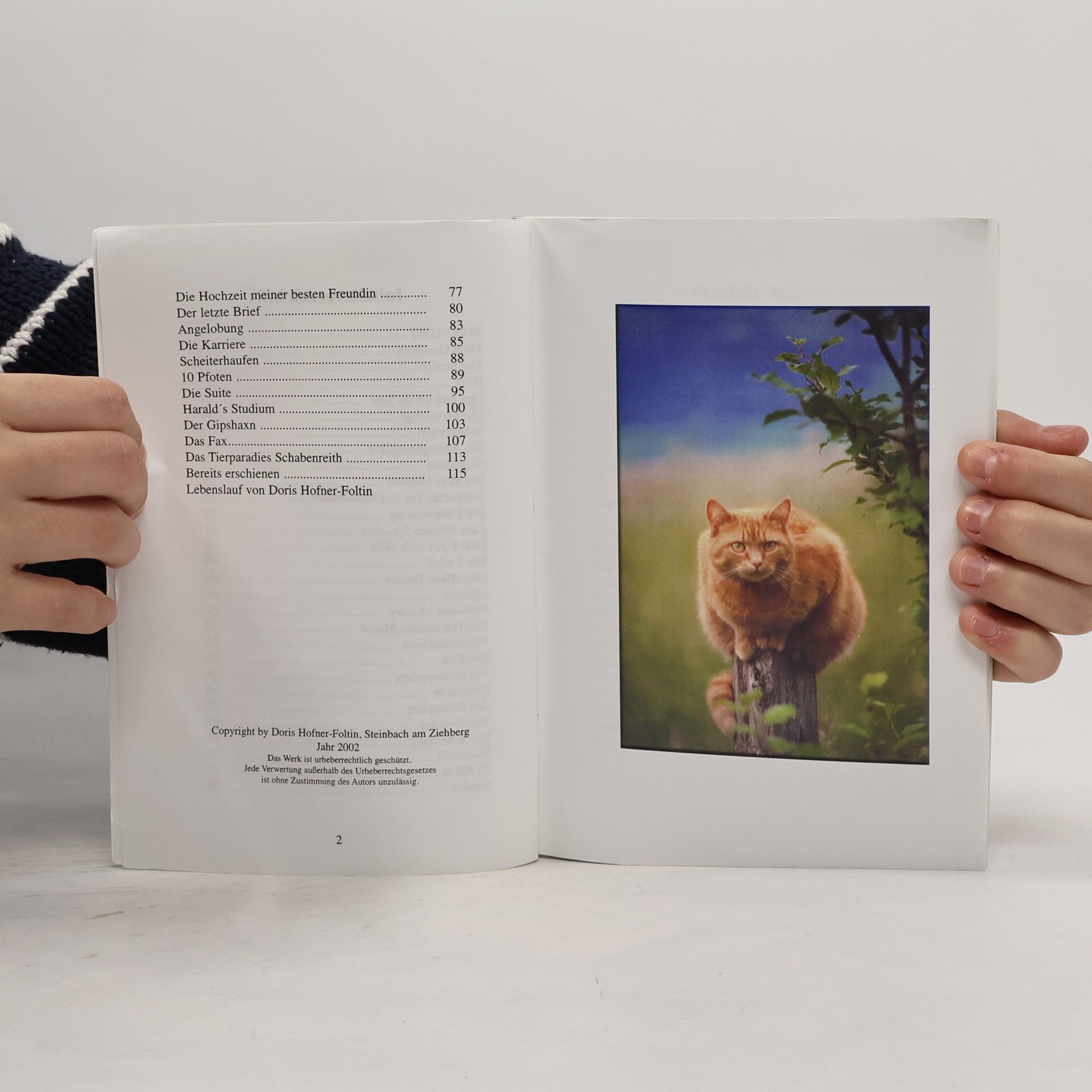 Autorenkollektiv Bunte Hunde & Schräge Vögel