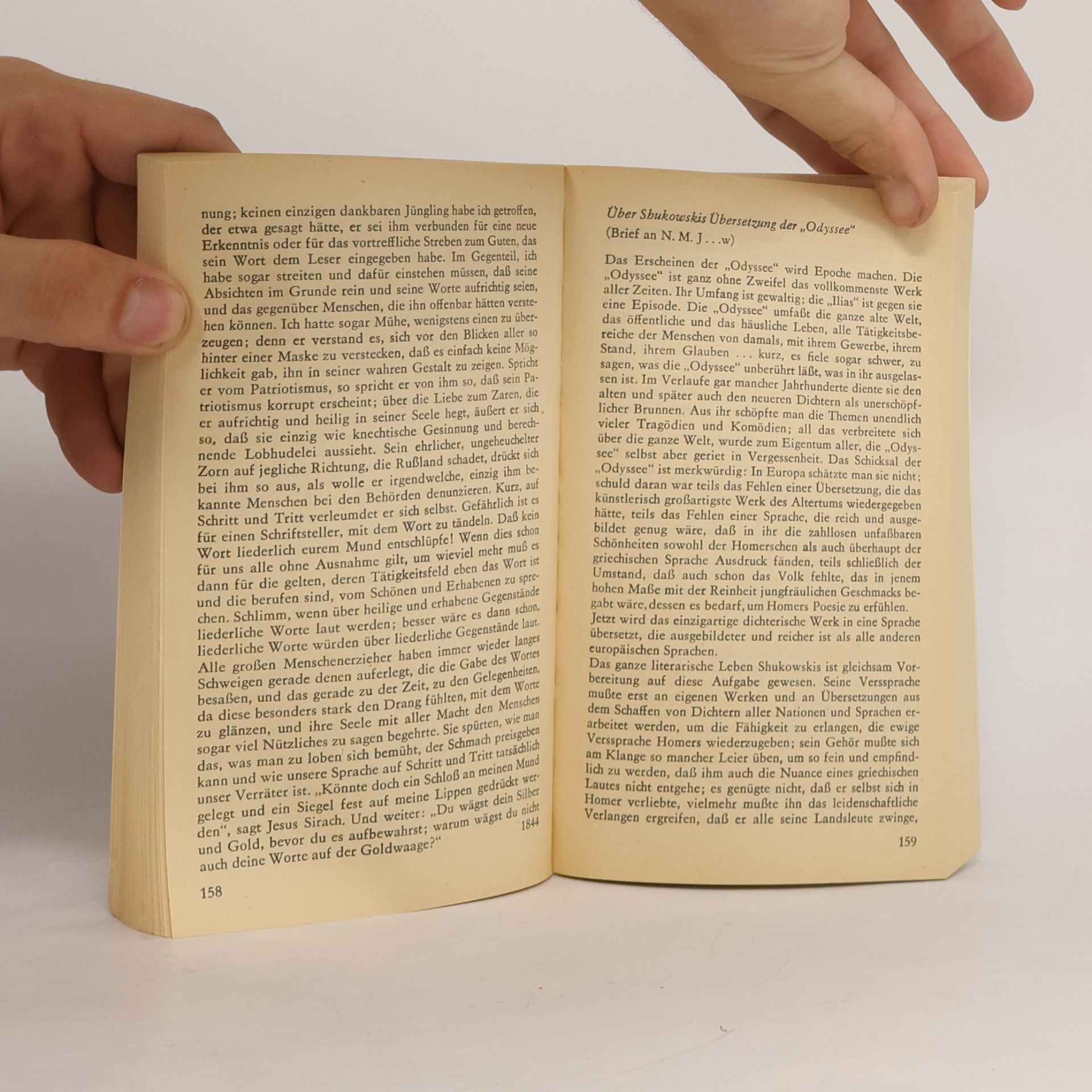 Nikolai Gogol Petersburger Skizzen und andere Aufsätze